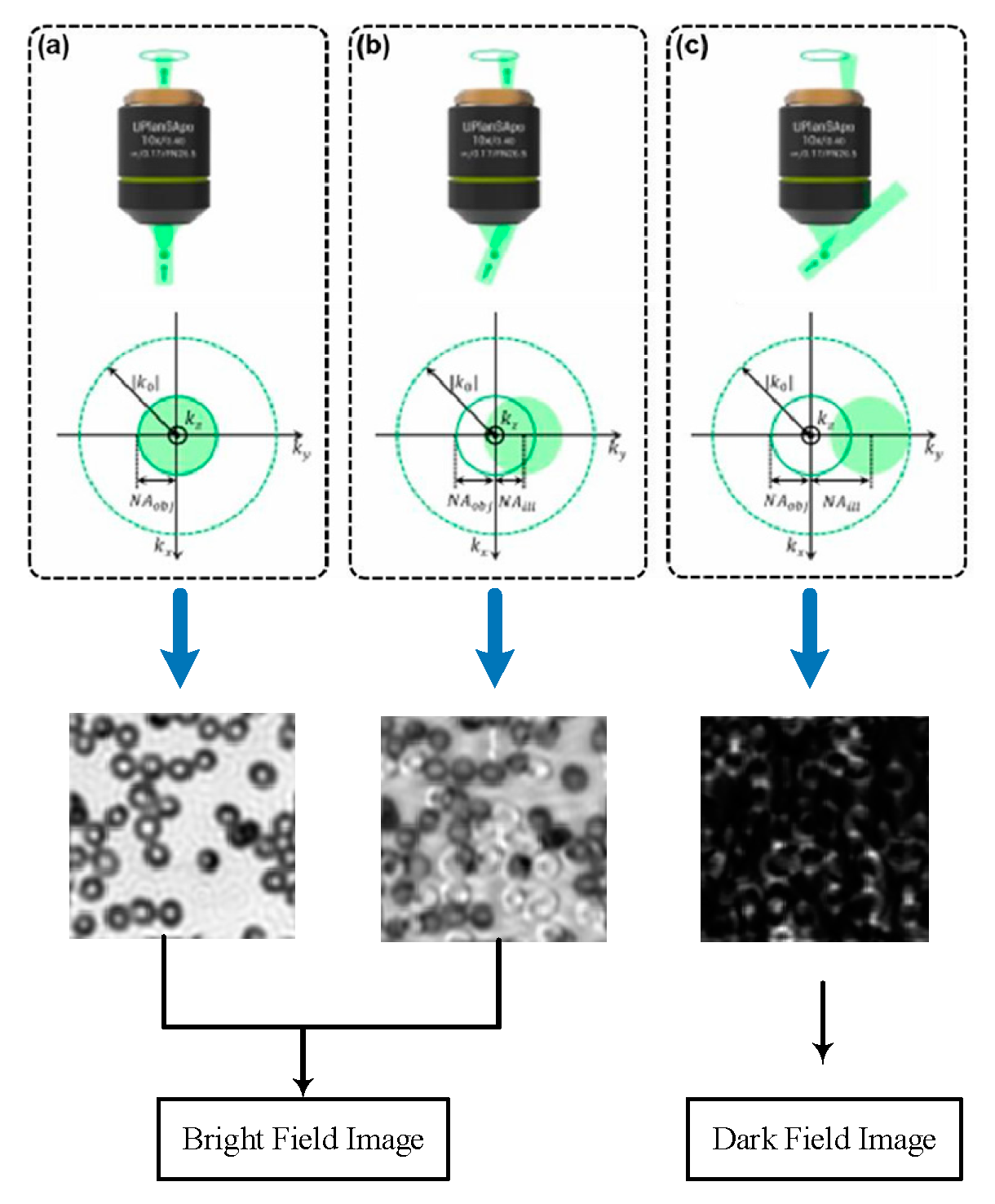 Applsci 13 03590 g003 Applsci 13 03590 g003