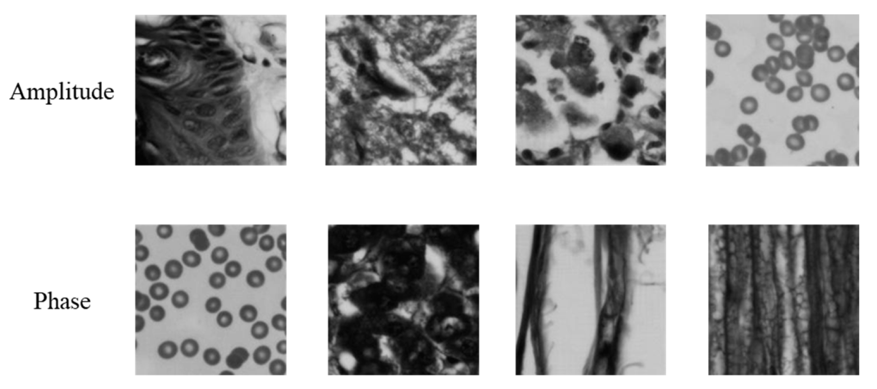 Applsci 13 03590 g016 Applsci 13 03590 g016