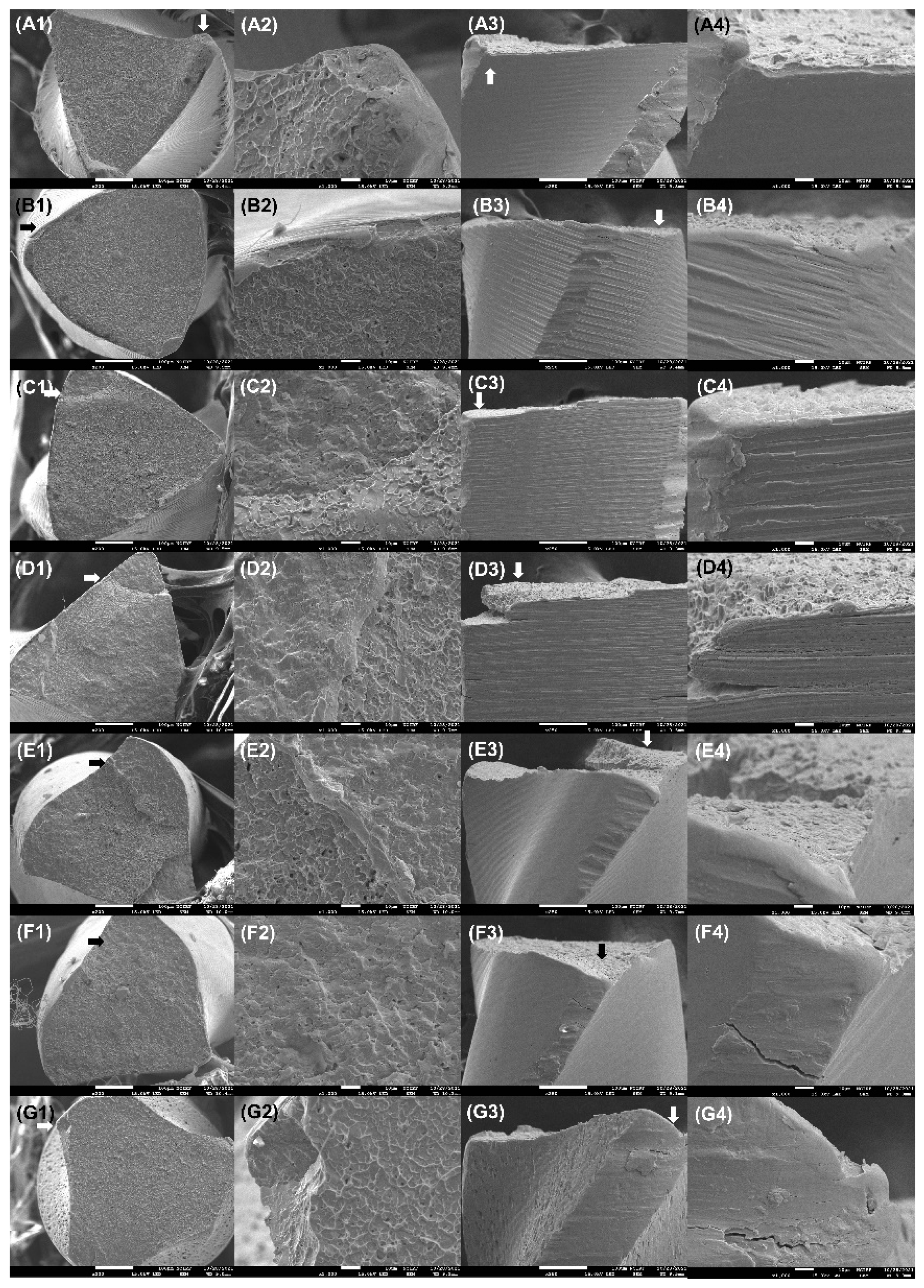 Applsci 13 03604 g004