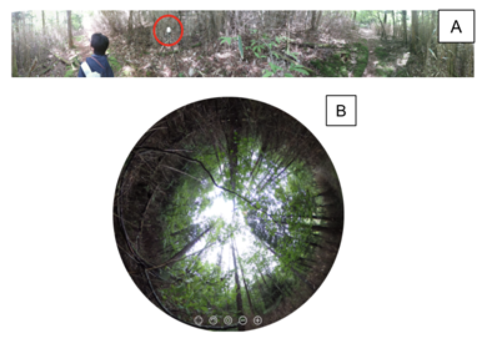 Applsci 13 03607 g004