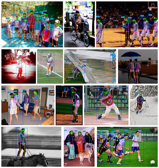 Human Pose Estimation Based on Lightweight Multi-Scale Coordinate Attention
