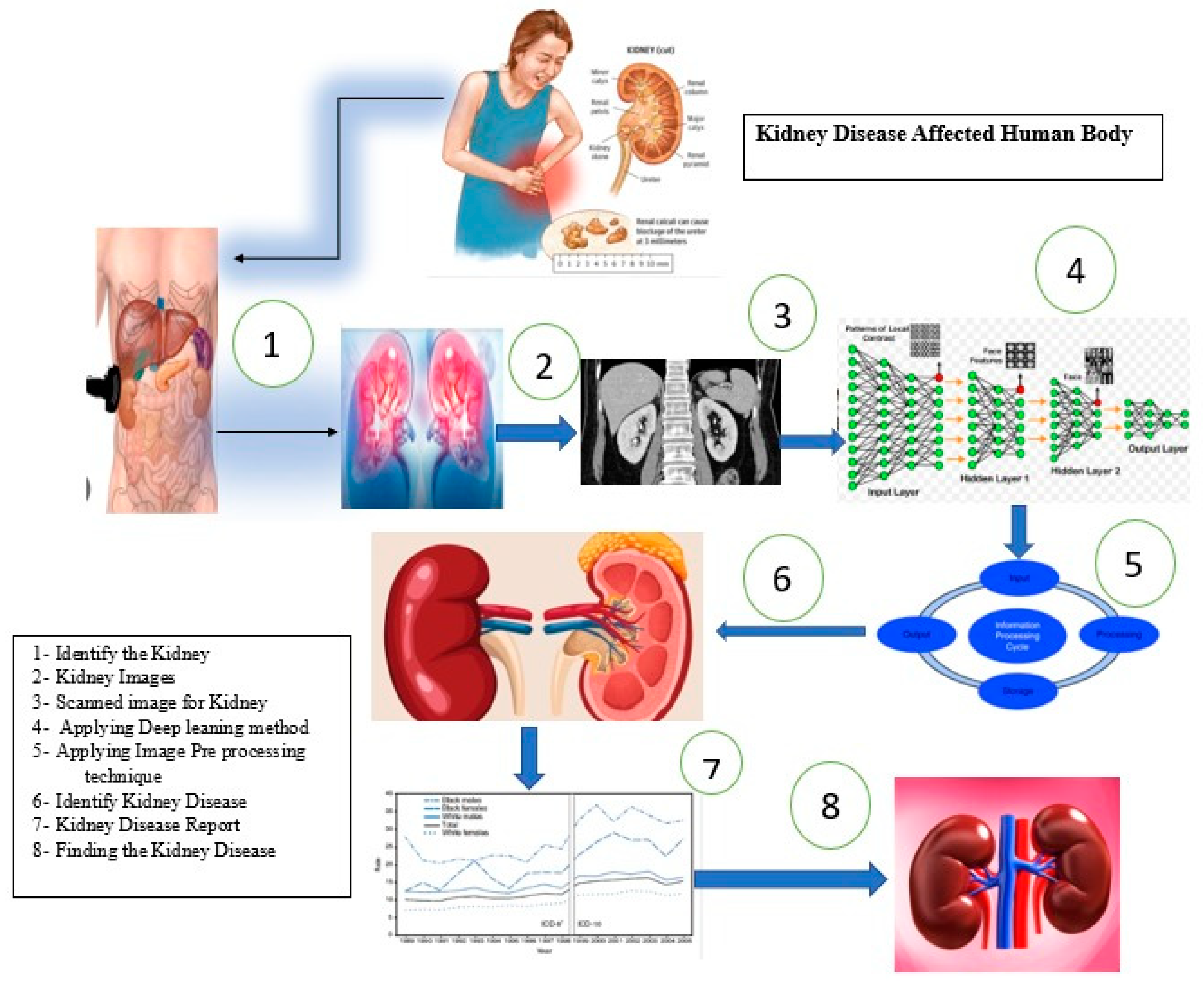 Applied Sciences Free Full Text A Deep Learning Approach For Kidney 