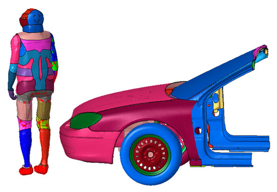 Design and Performance Research of a Wearable Airbag for the Human