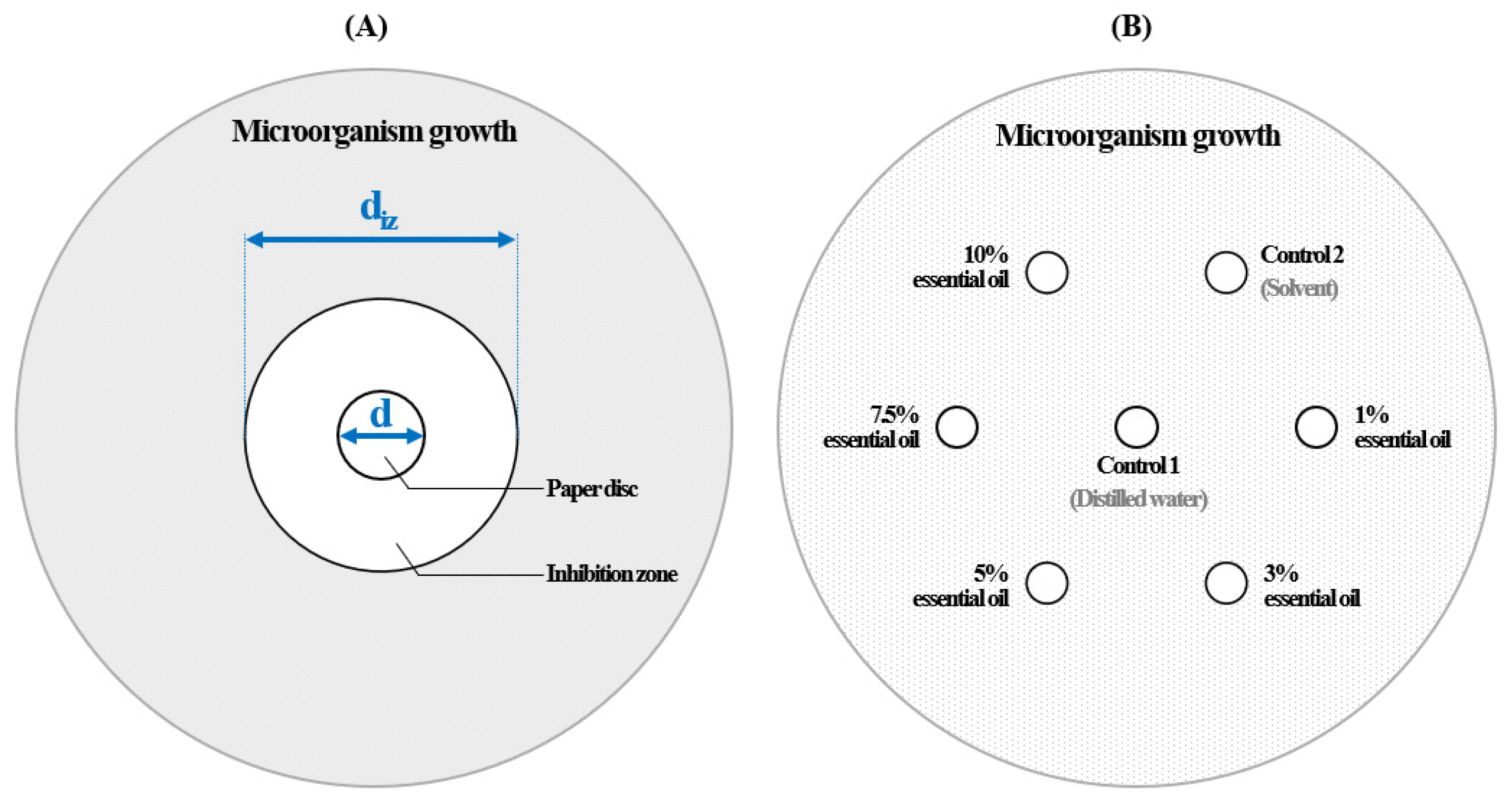 Applsci 13 03645 g002 Applsci 13 03645 g002