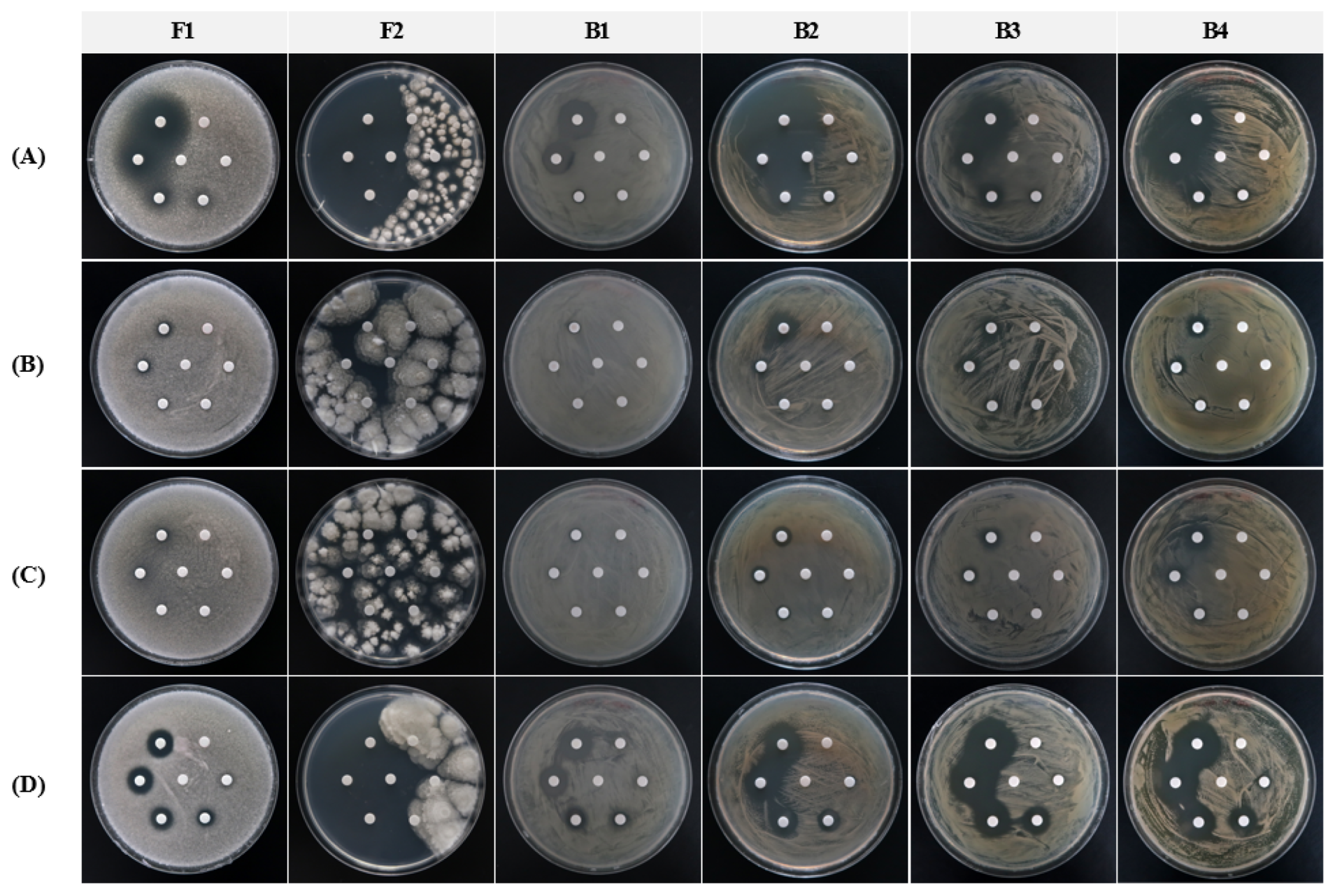 Applsci 13 03645 g003 Applsci 13 03645 g003