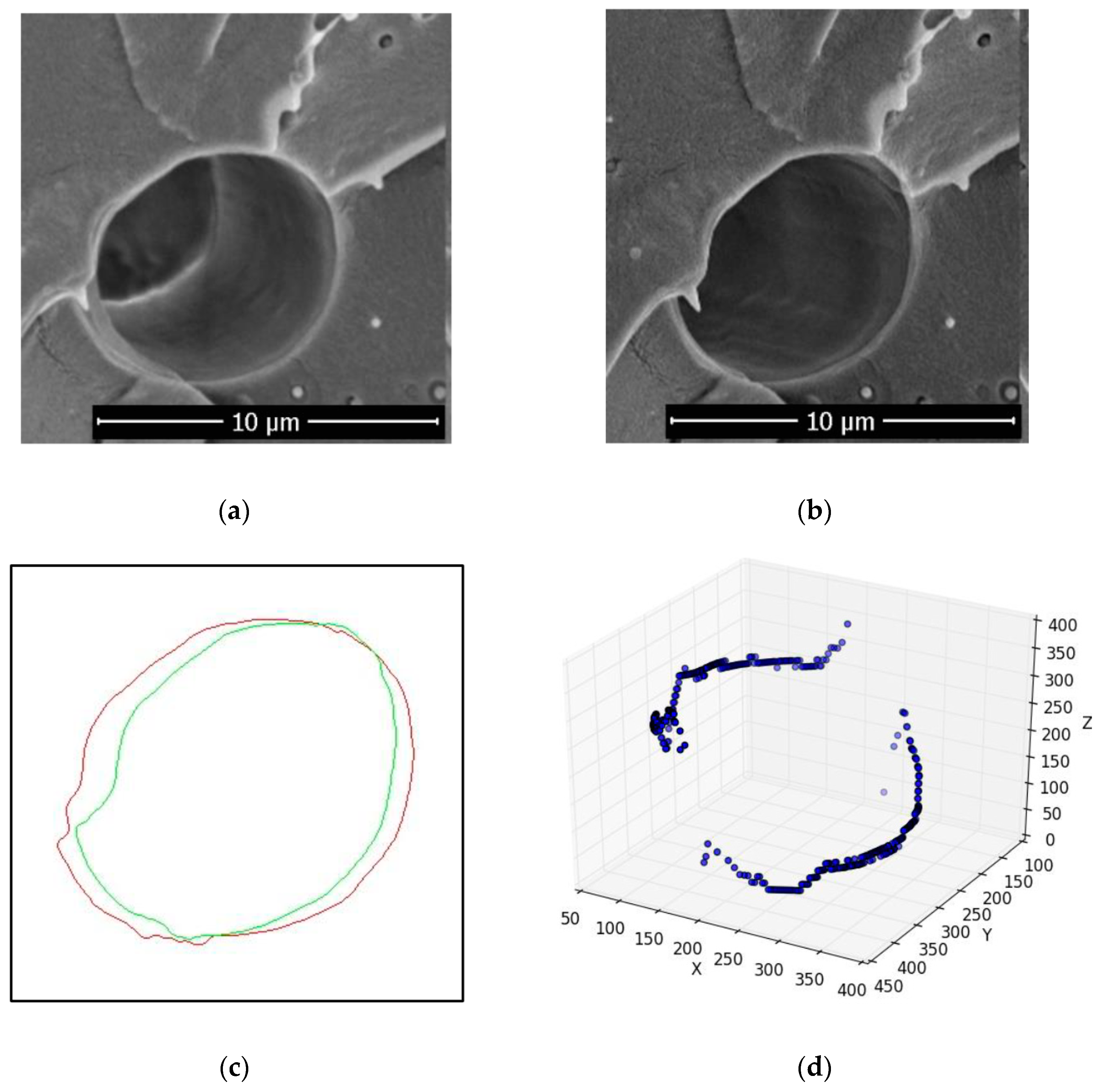 Applsci 13 03700 g006a