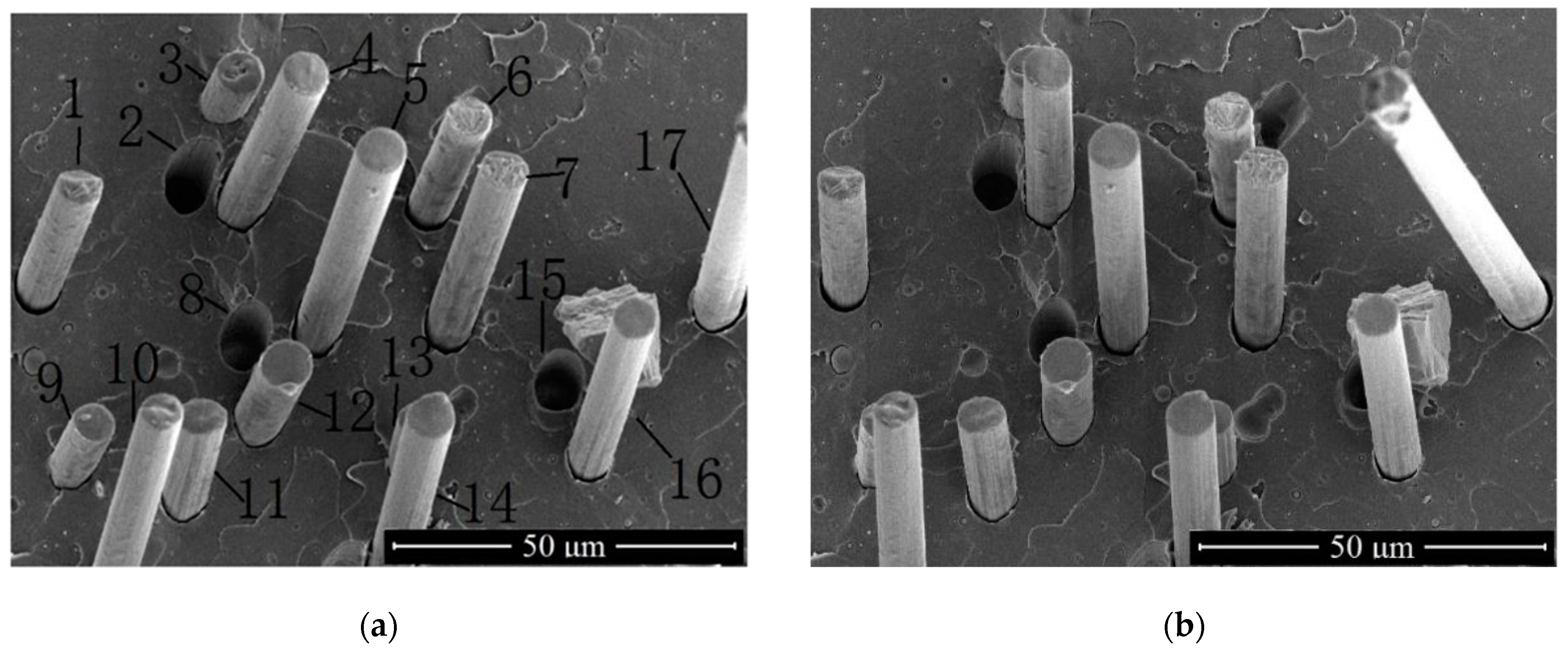 Applsci 13 03700 g007