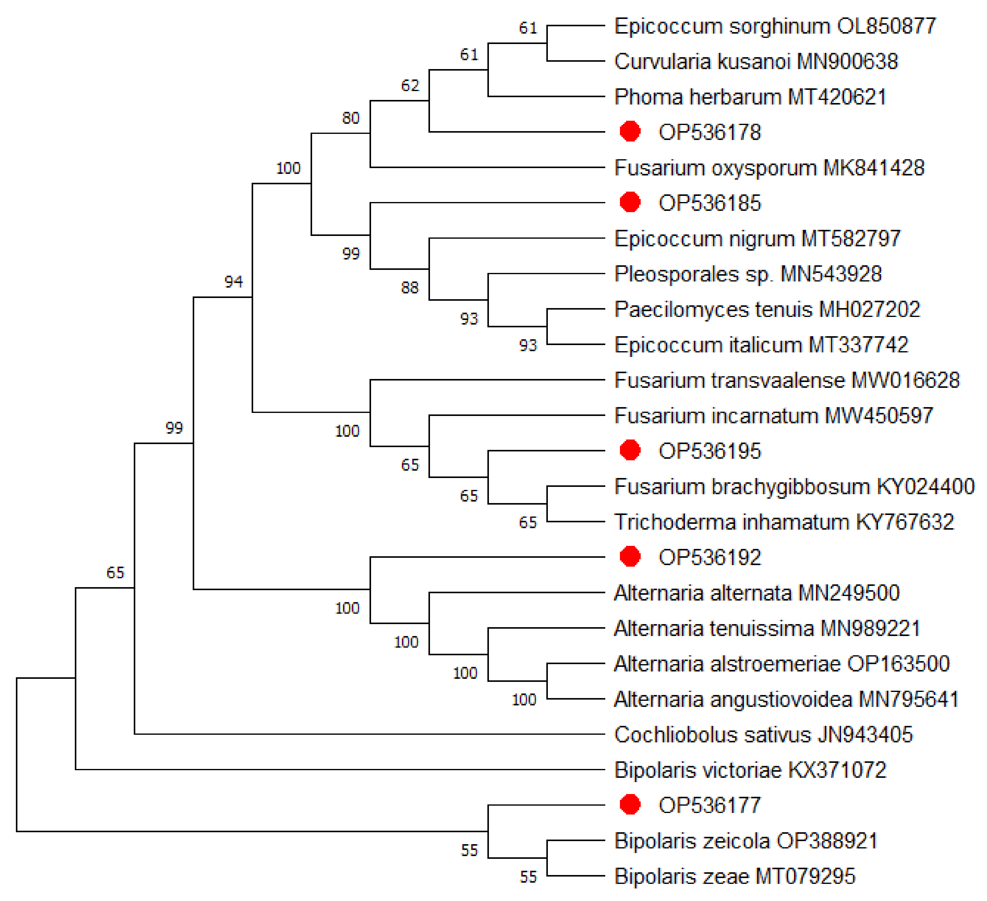 Applsci 13 03731 g005