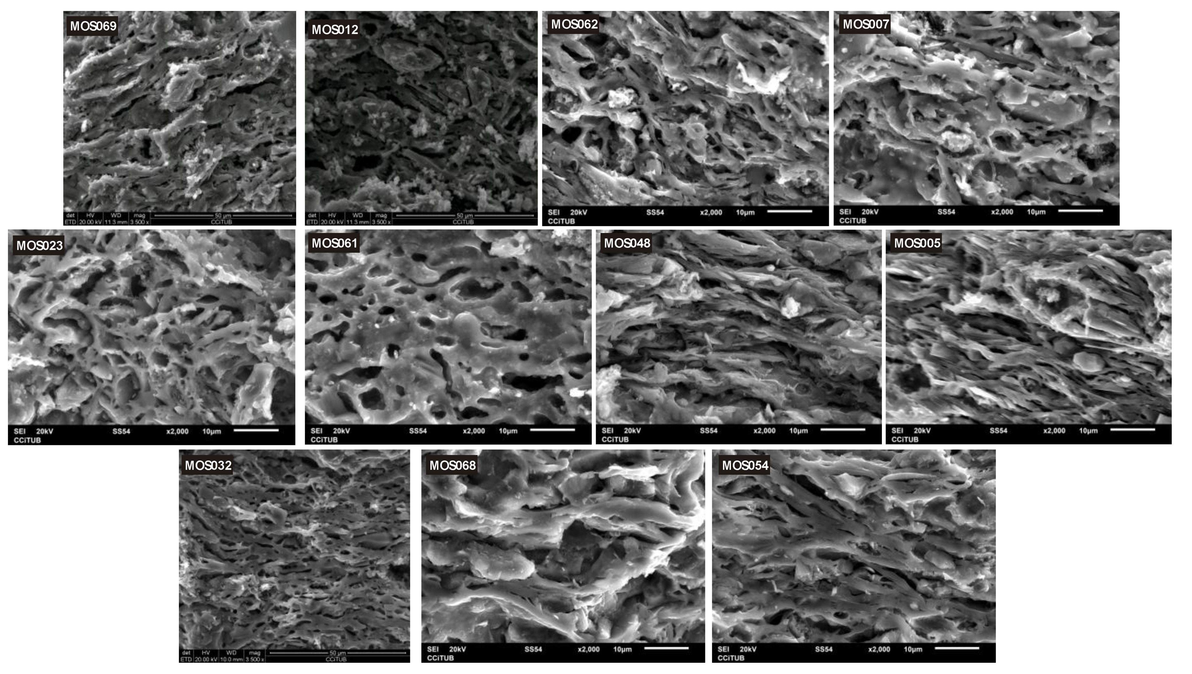 Applsci 13 03733 g008 Applsci 13 03733 g008