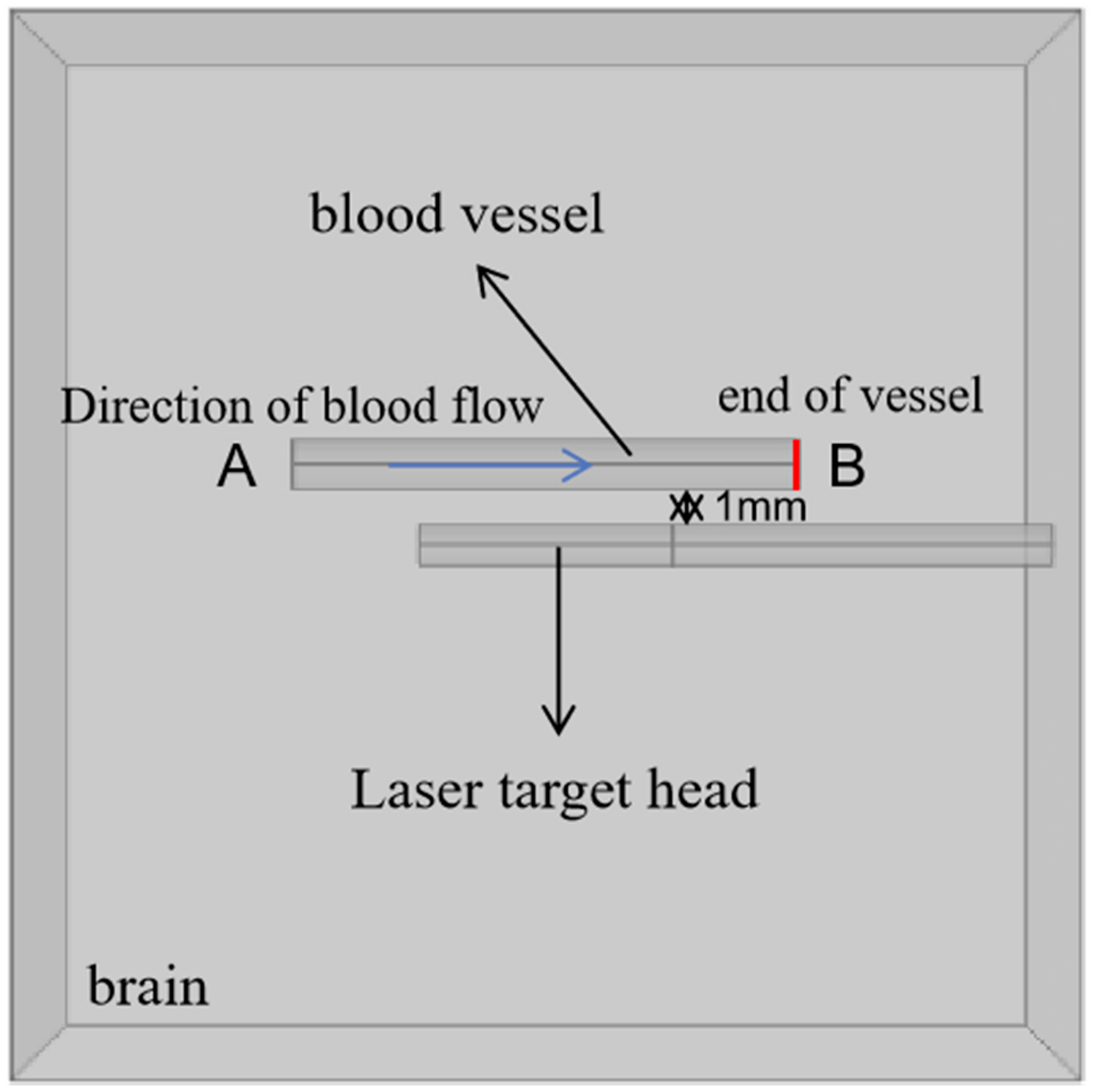 Applsci 13 03751 g005