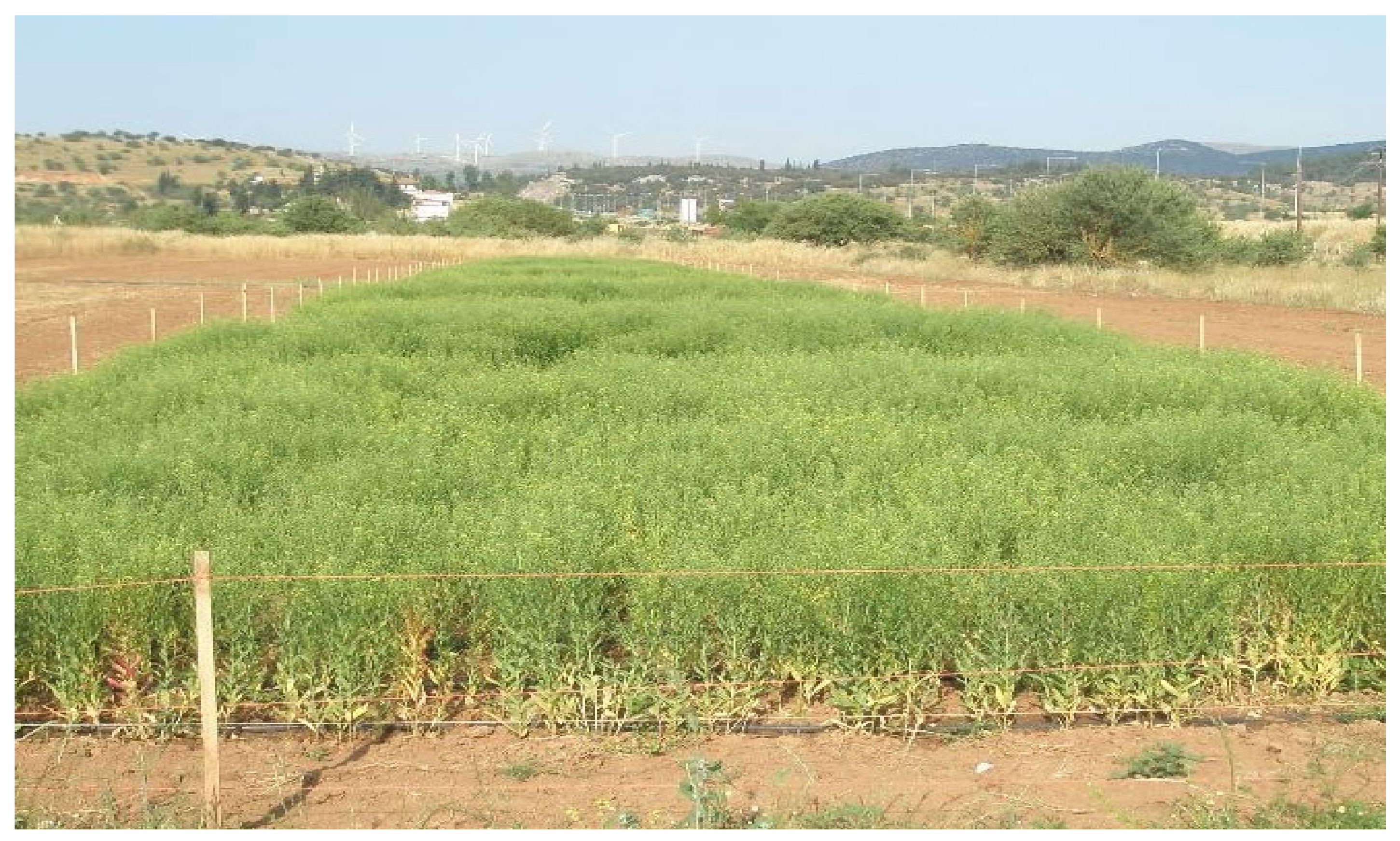 Applsci 13 03759 g001 Applsci 13 03759 g001