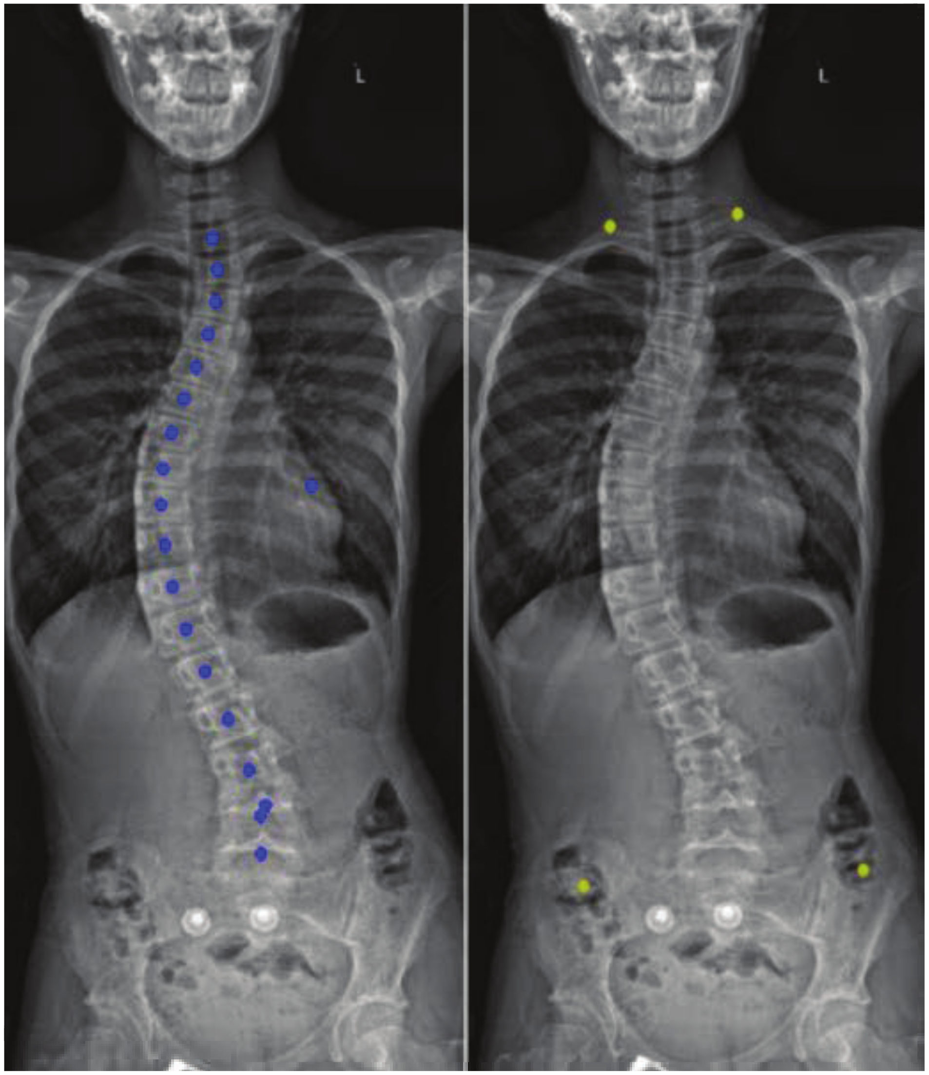 Applsci 13 03817 g005