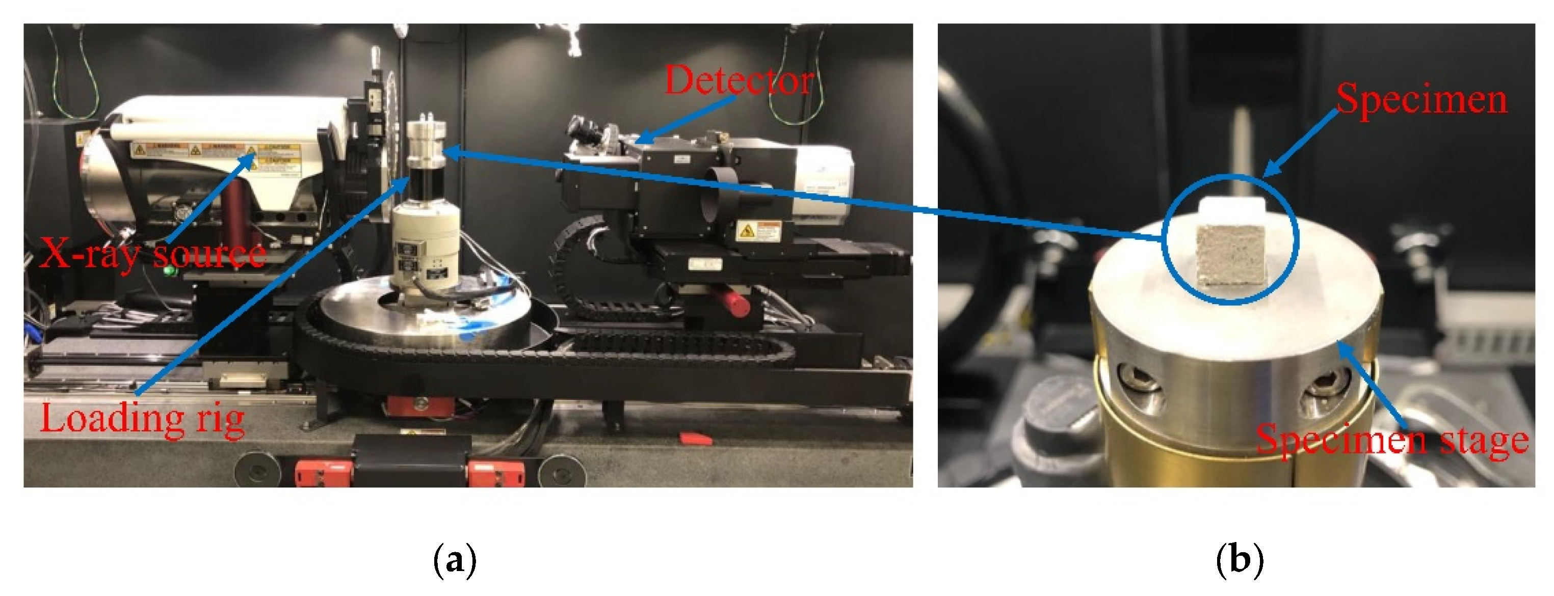 Localized Damage Analysis of Cement Mortar Using X-ray