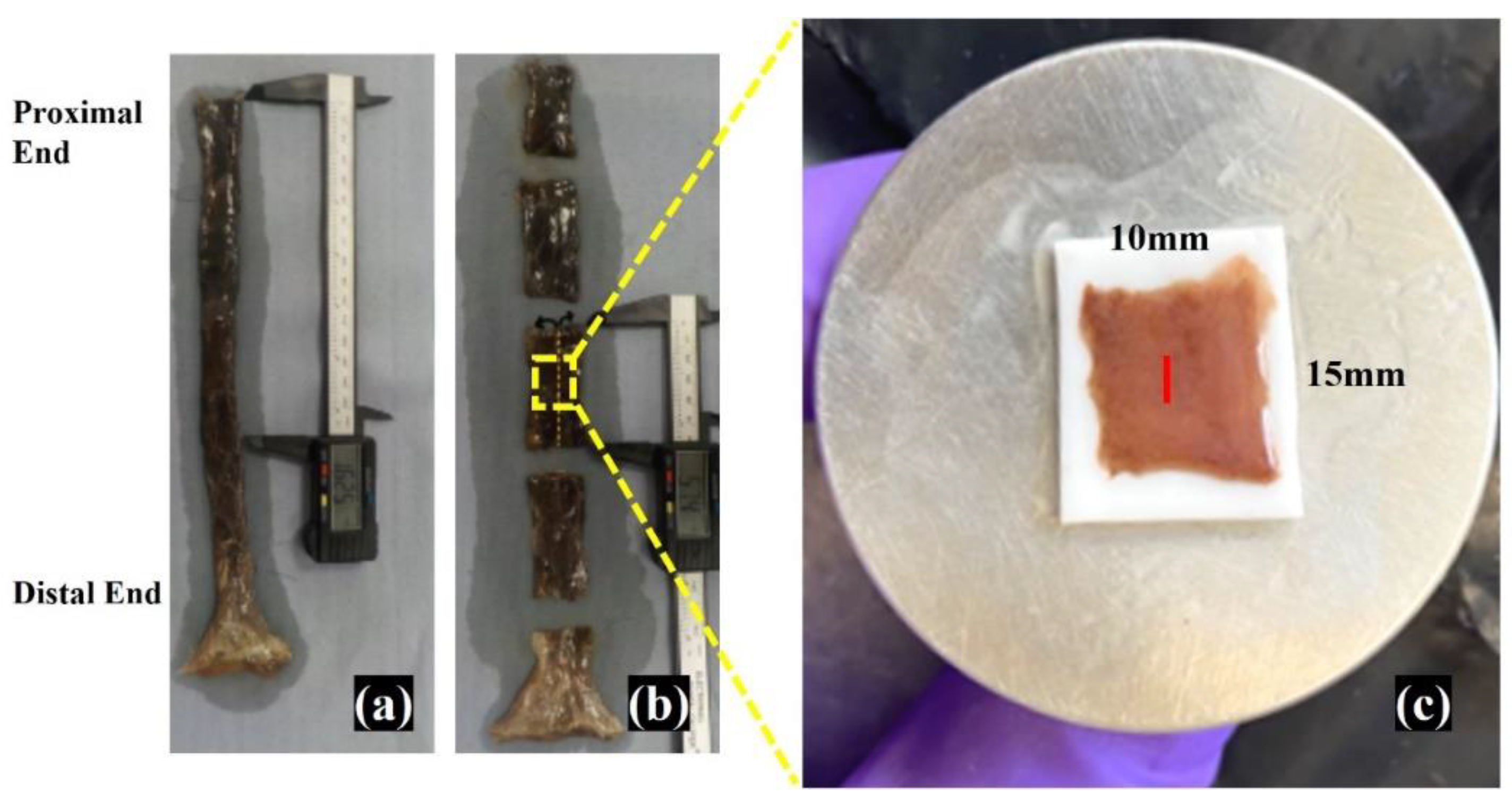 Applsci 13 03844 g002 Applsci 13 03844 g002