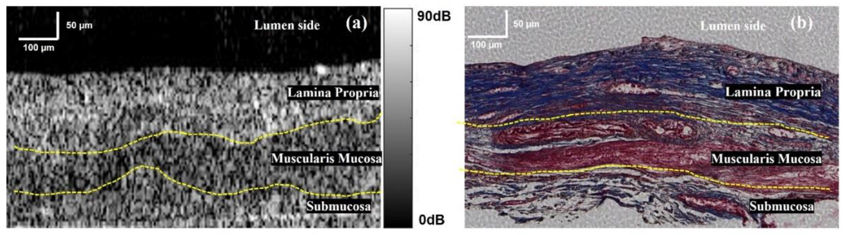 Applsci 13 03844 g003 Applsci 13 03844 g003