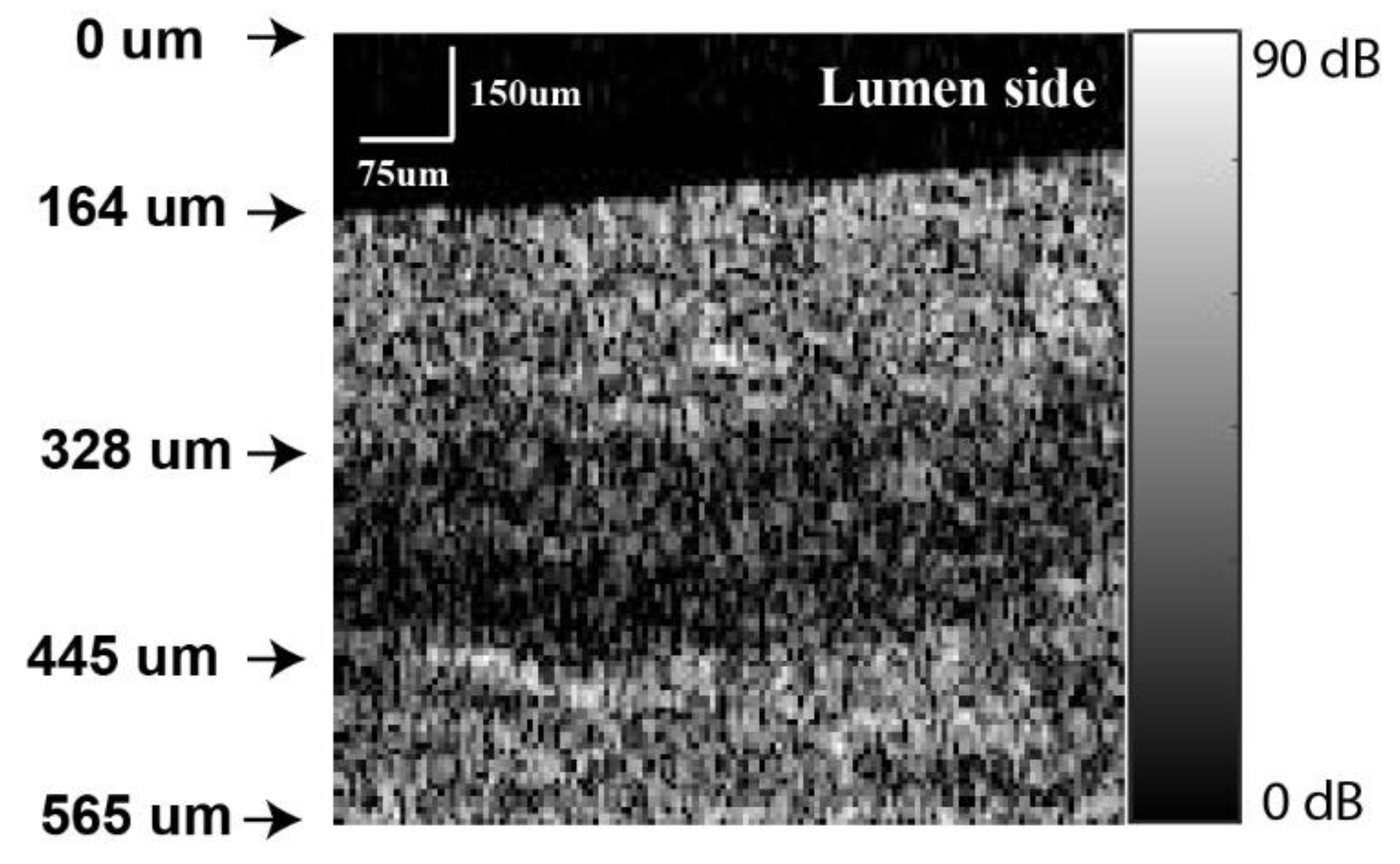 Applsci 13 03844 g005 Applsci 13 03844 g005