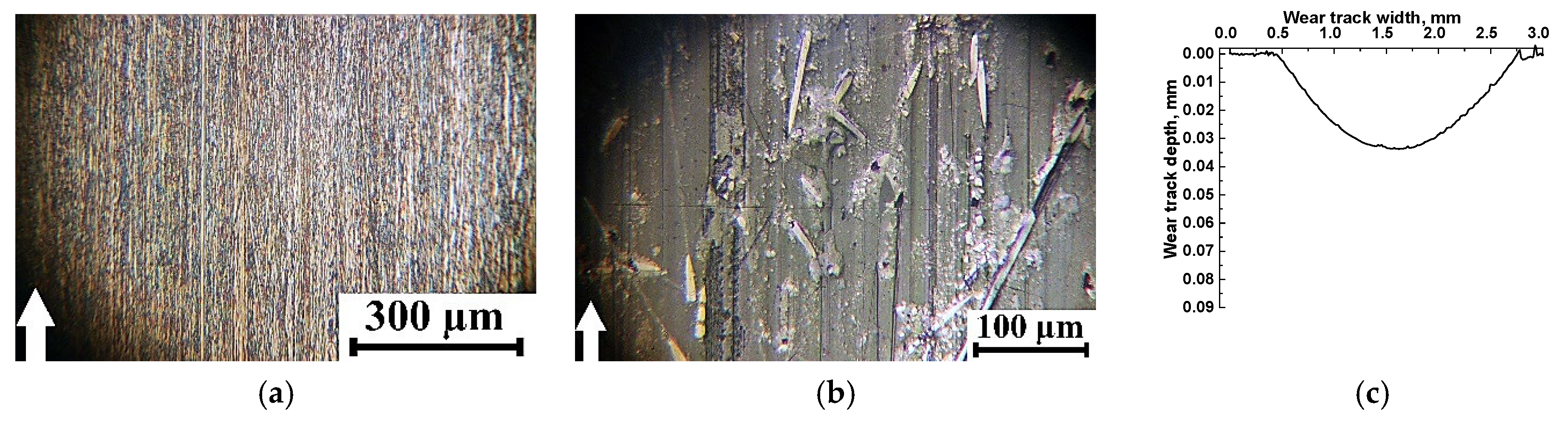 Applsci 13 03848 g017