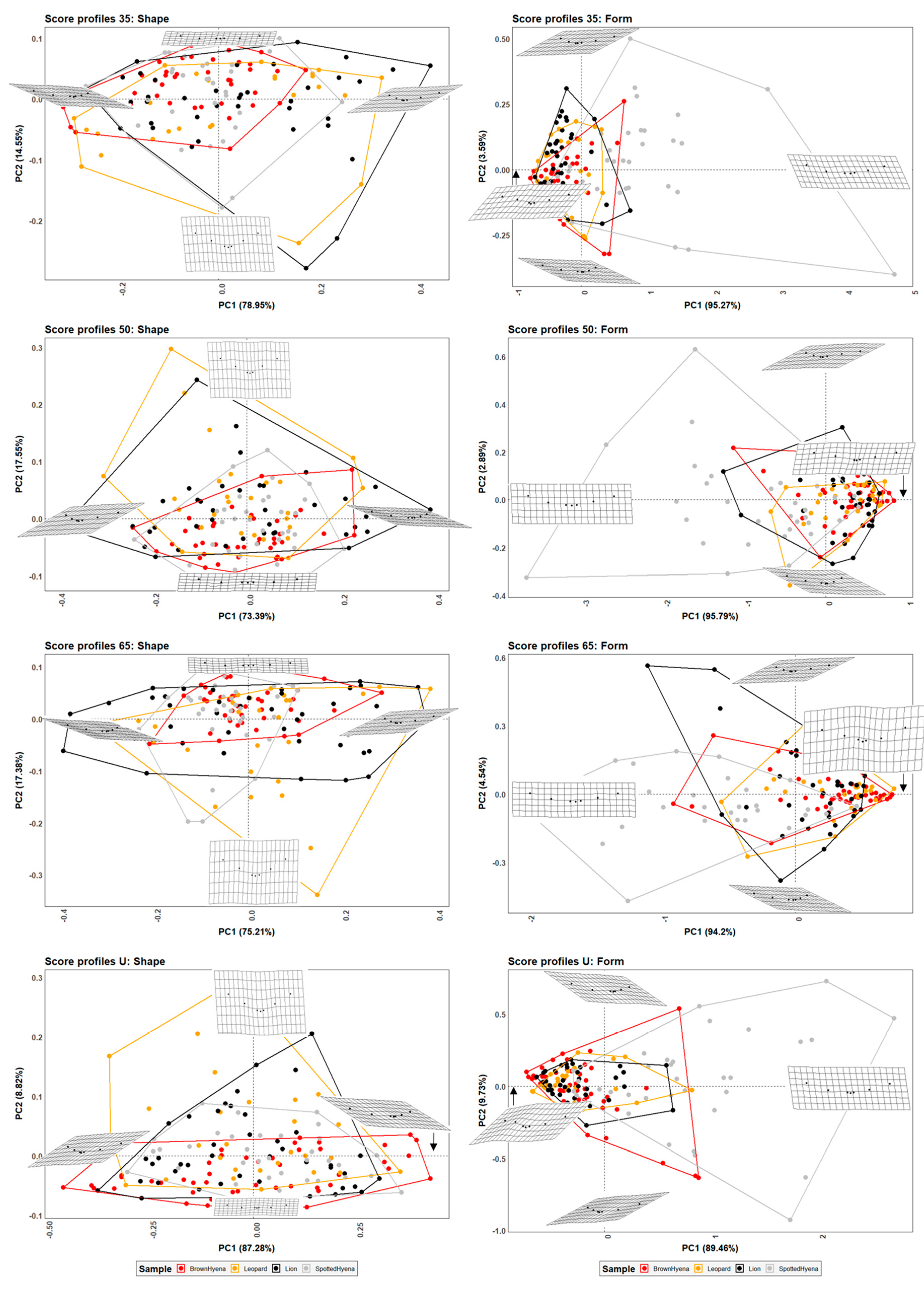 Applsci 13 03864 g002