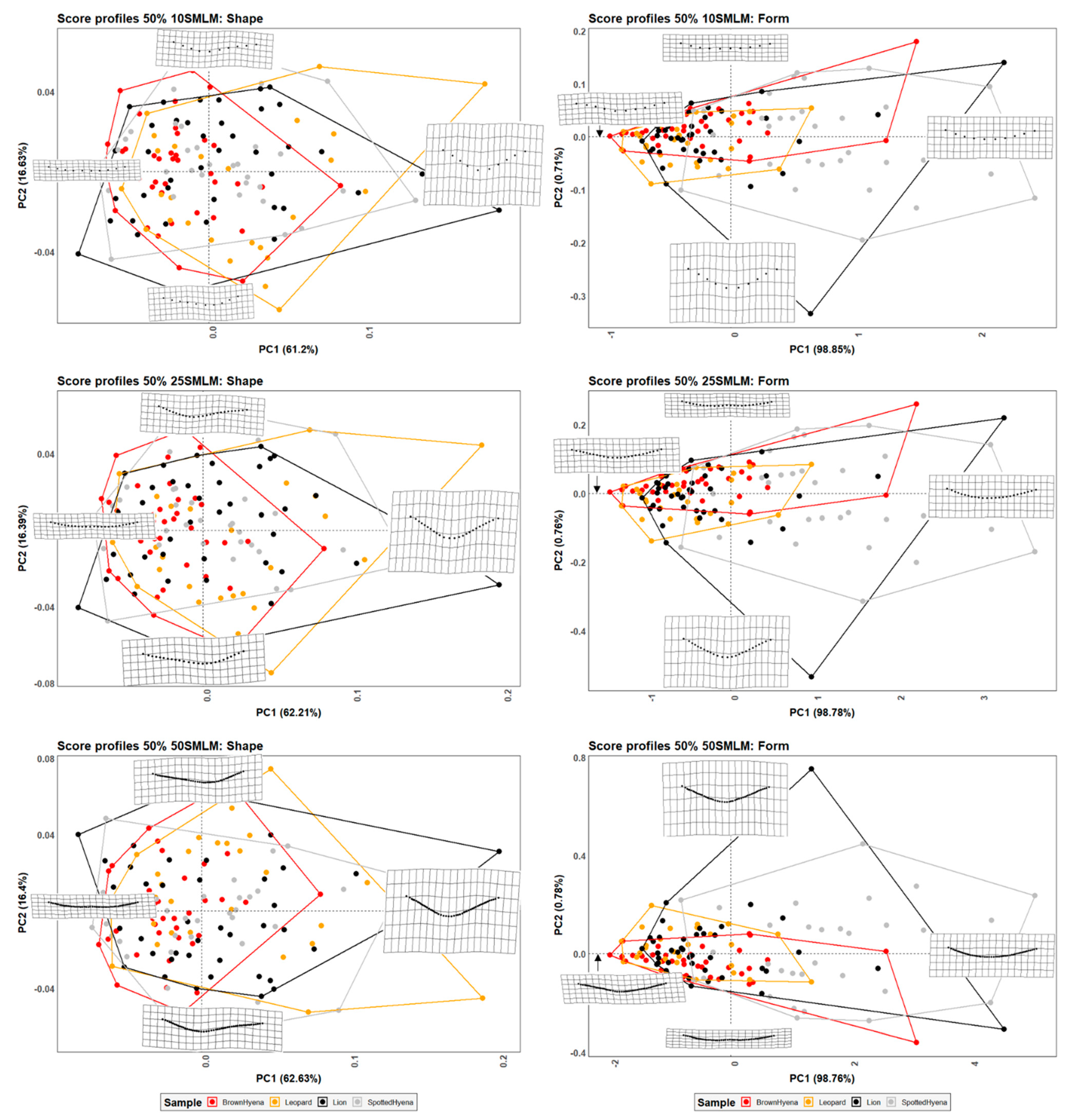 Applsci 13 03864 g003