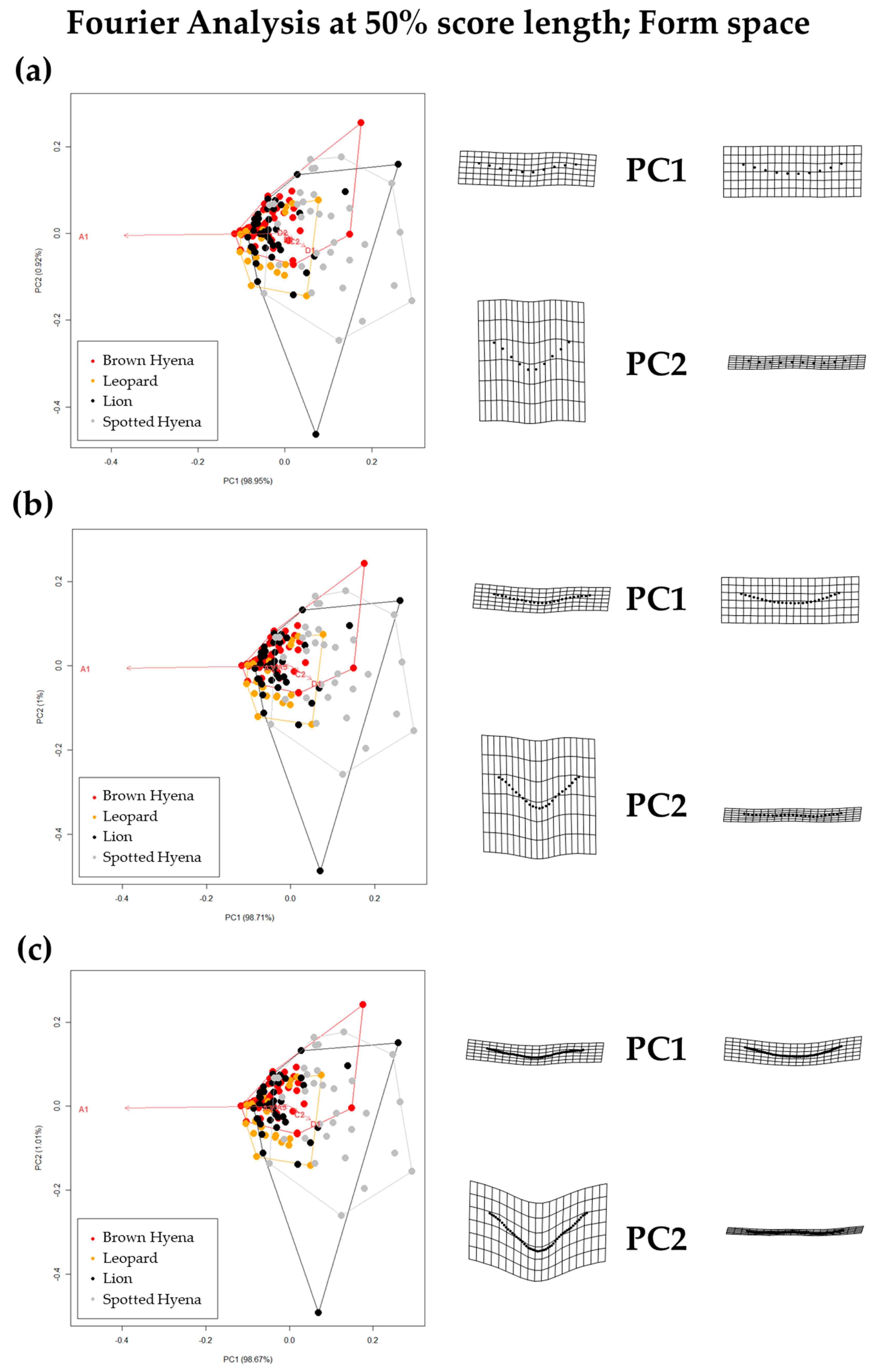 Applsci 13 03864 g005