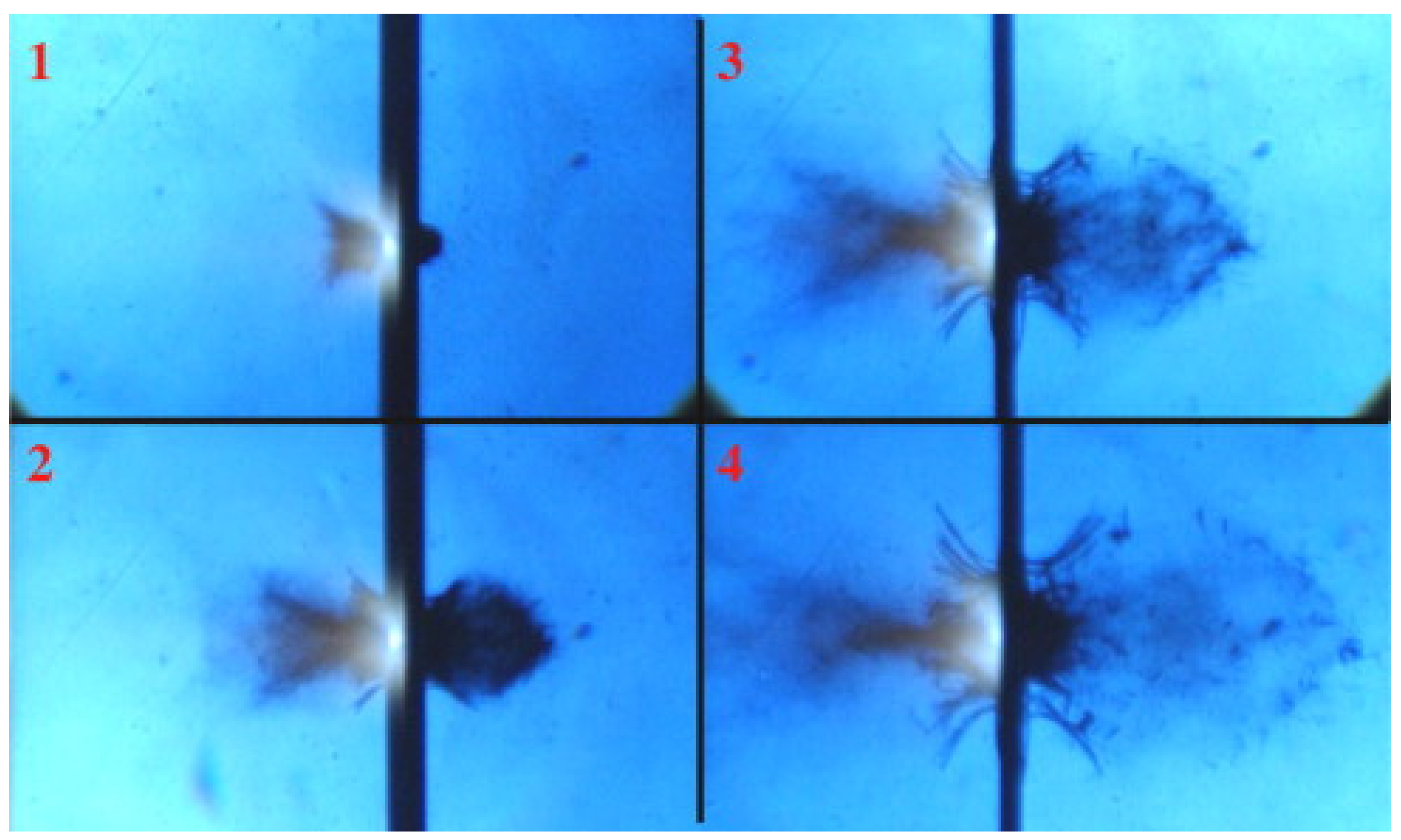 Applsci 13 03874 g004