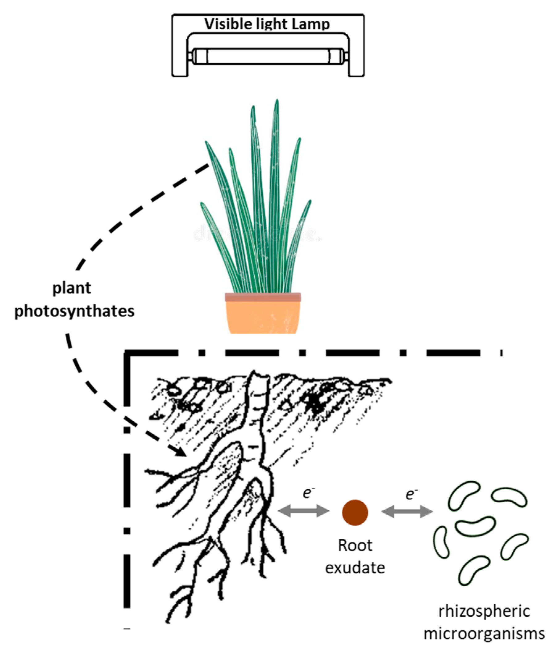 Applsci 13 03896 g001