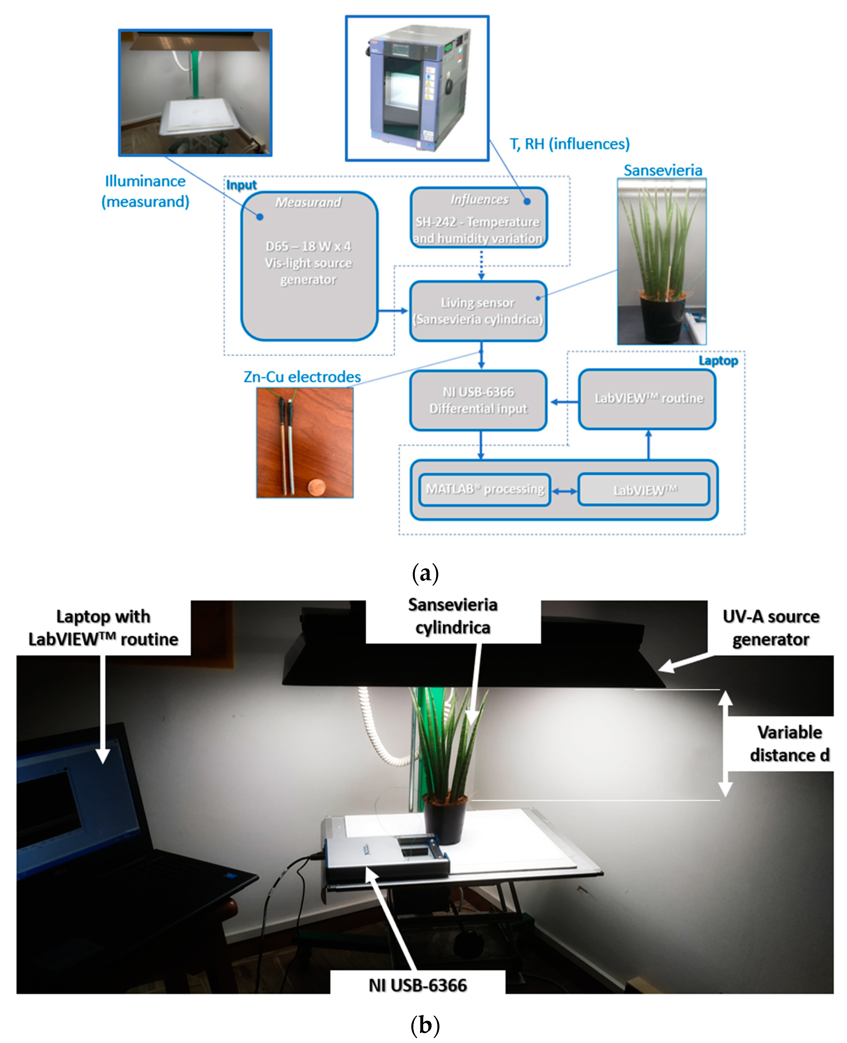 Applsci 13 03896 g002