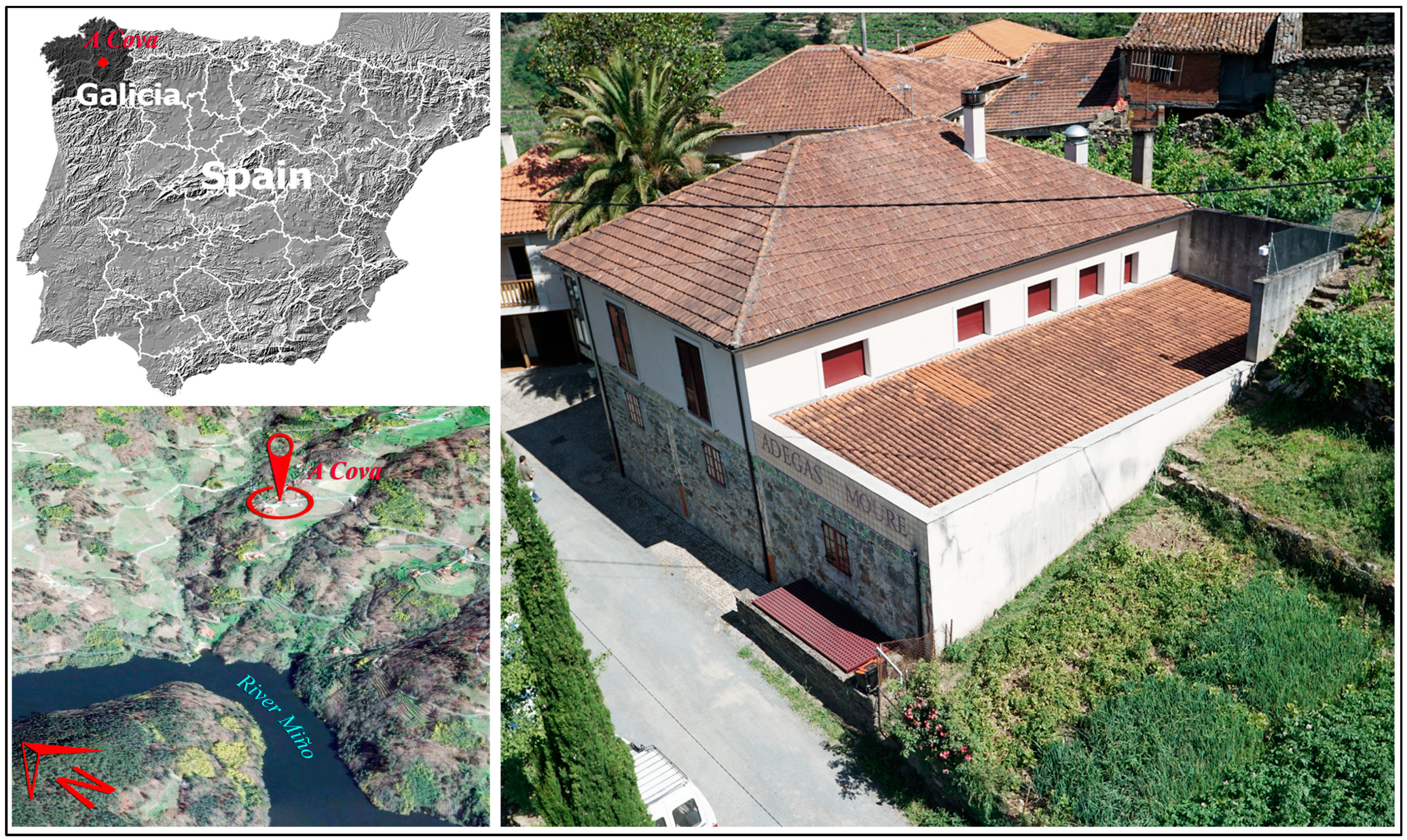 Applsci 13 03948 g001