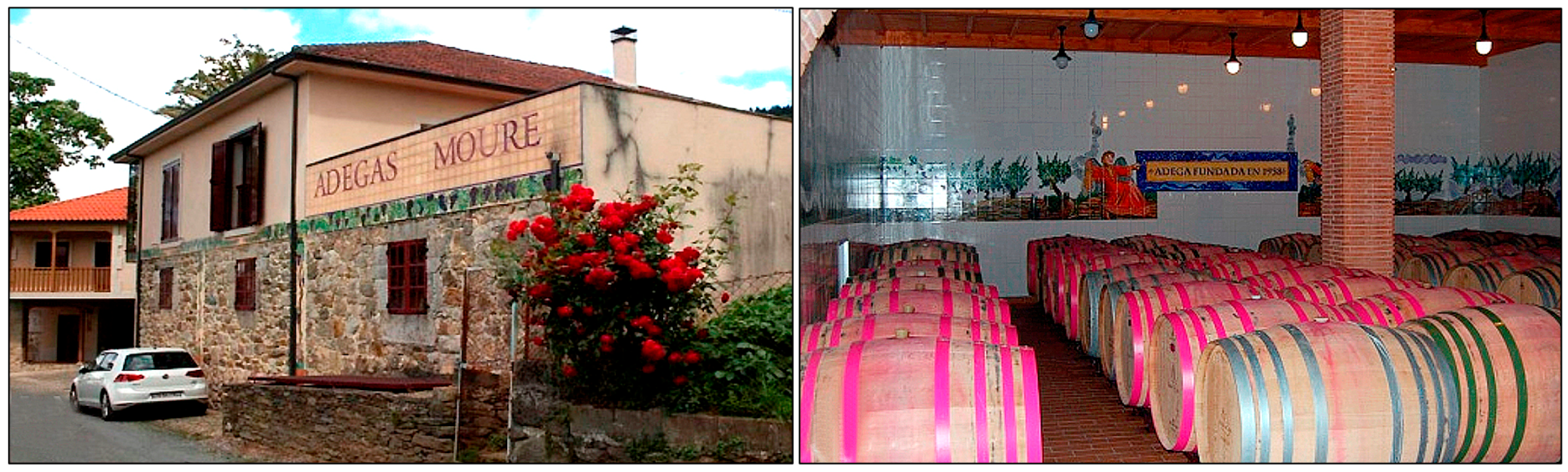 Applsci 13 03948 g002