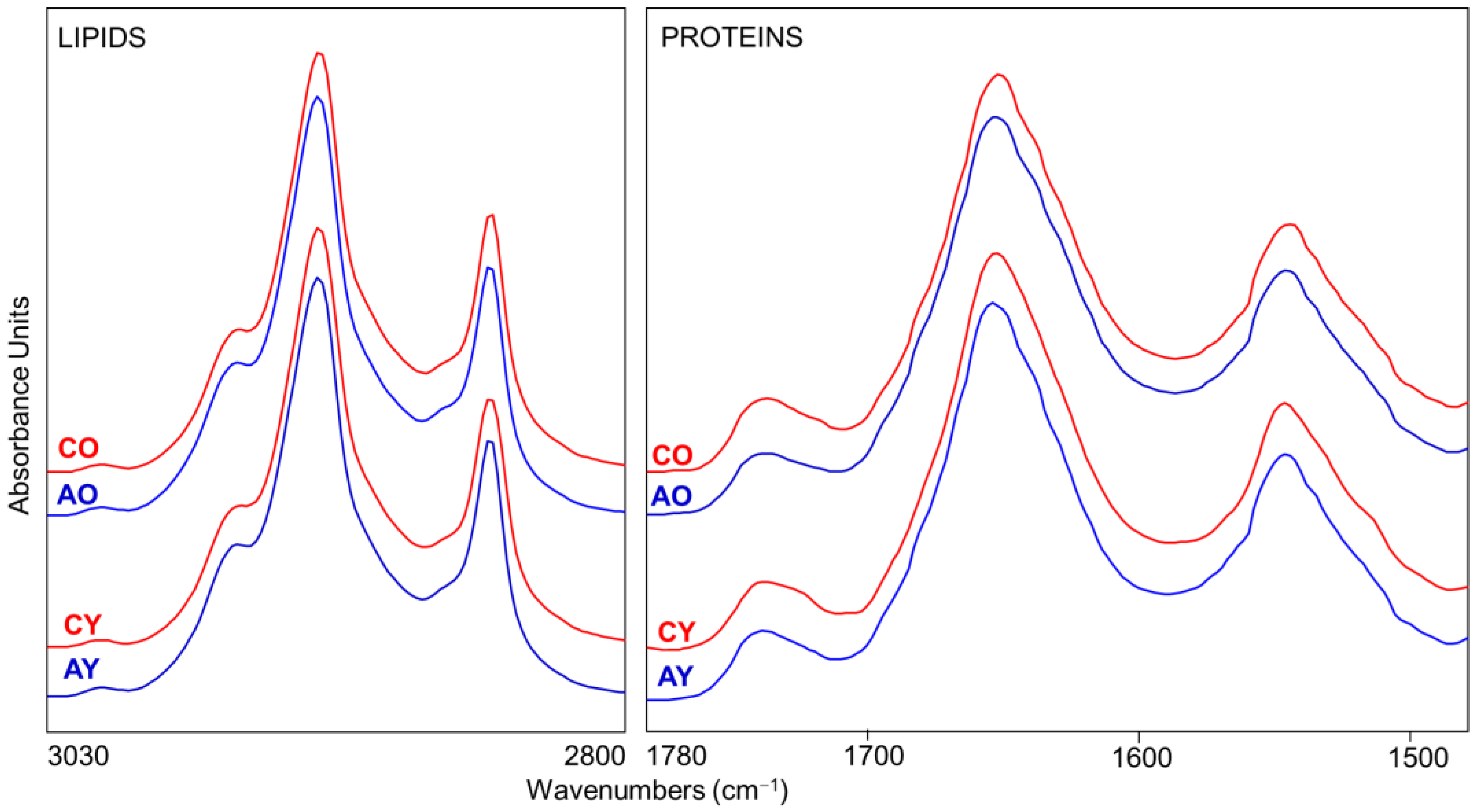 Applsci 13 03954 g003