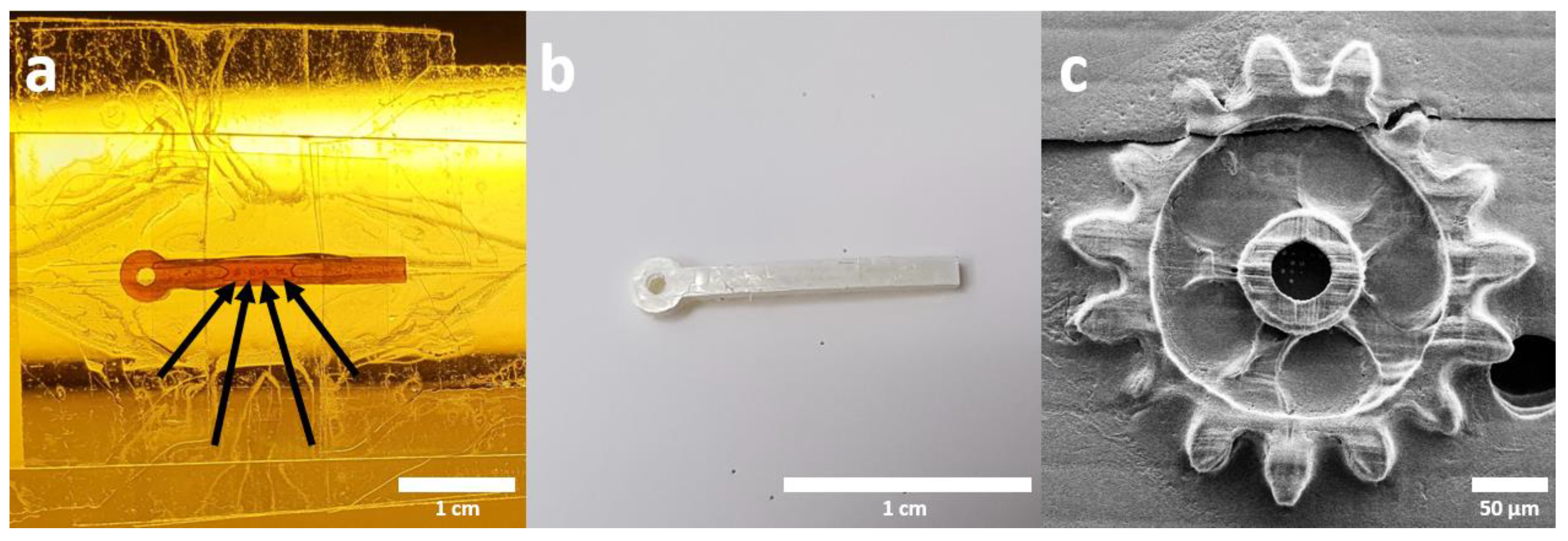 Applsci 13 03974 g004 Applsci 13 03974 g004