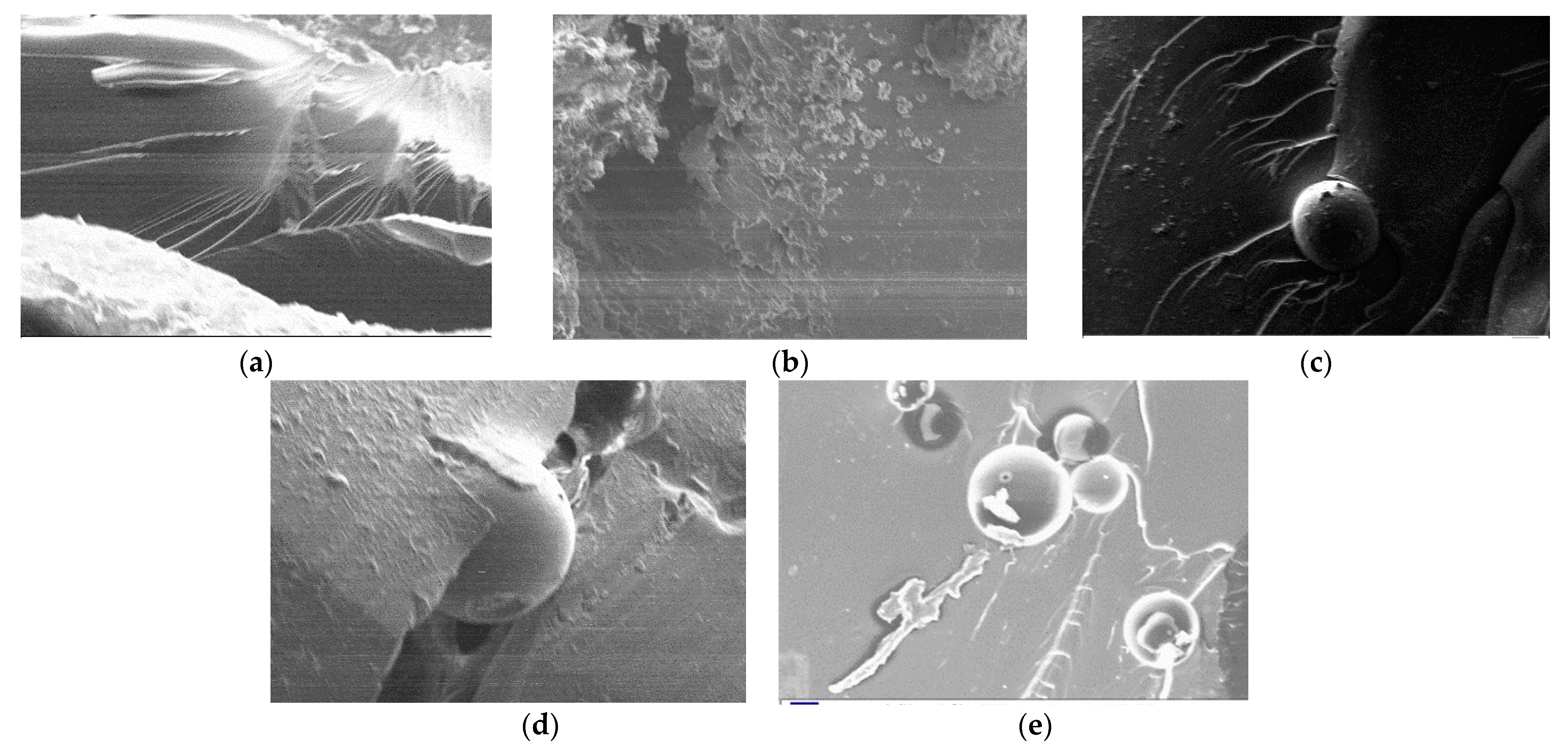 Applsci 13 03981 g014 Applsci 13 03981 g014
