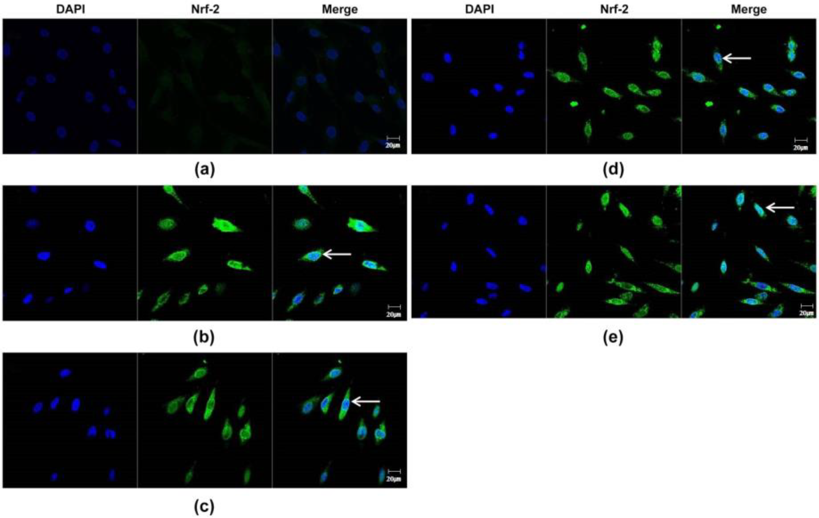 Applsci 13 03985 g003 Applsci 13 03985 g003