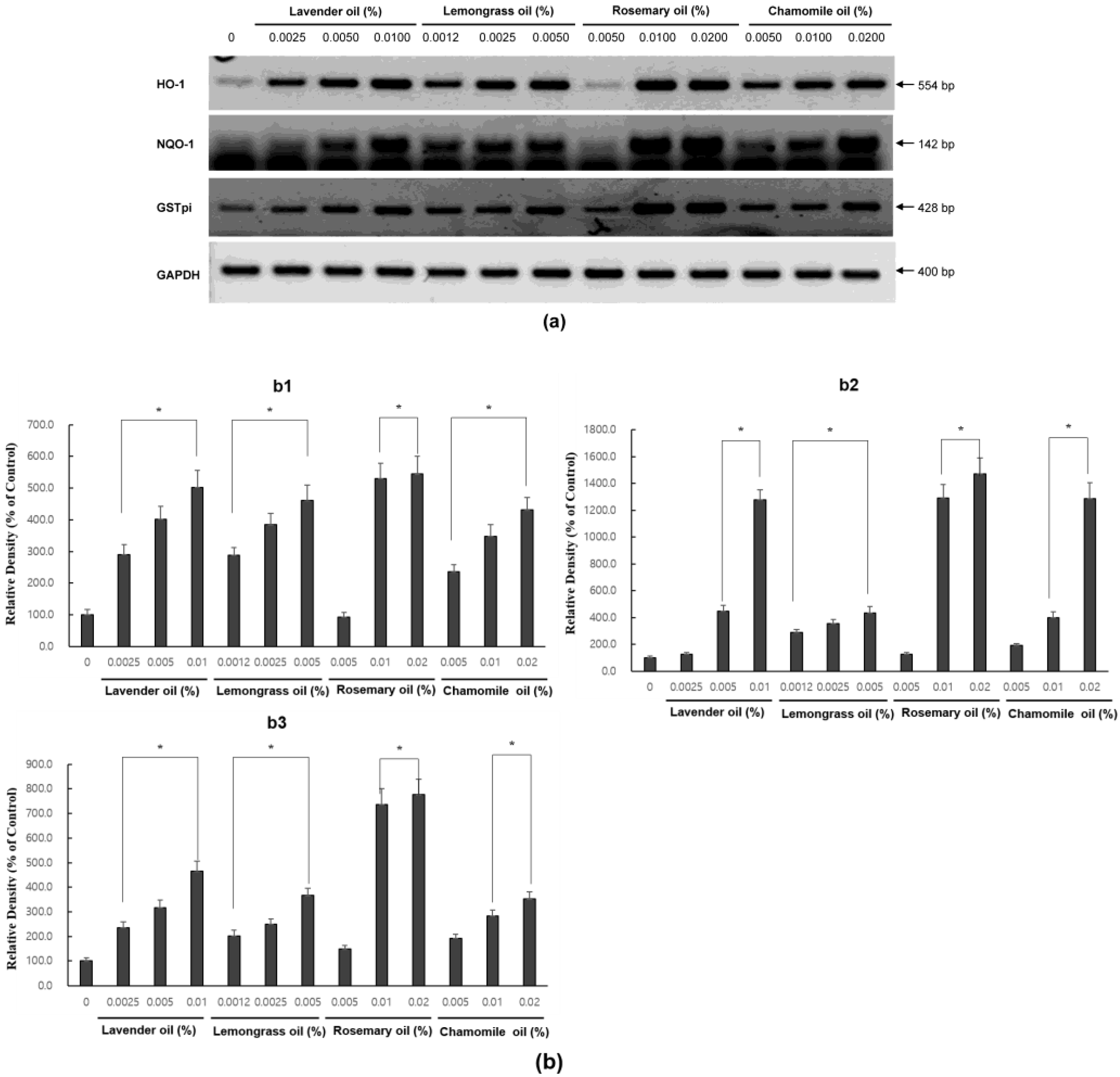 Applsci 13 03985 g004 Applsci 13 03985 g004