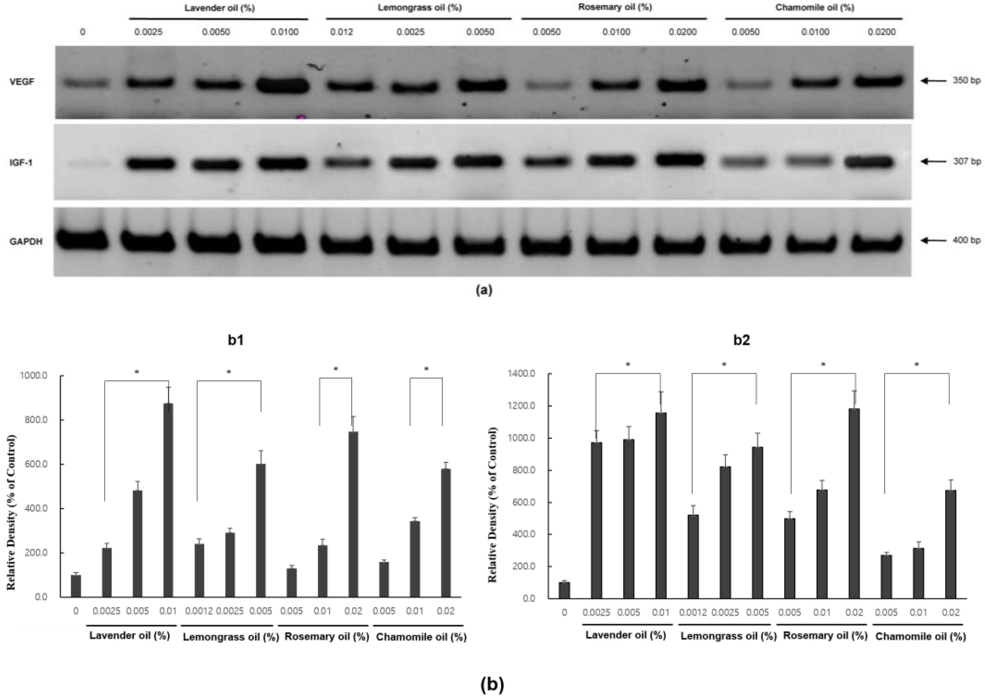 Applsci 13 03985 g006 Applsci 13 03985 g006