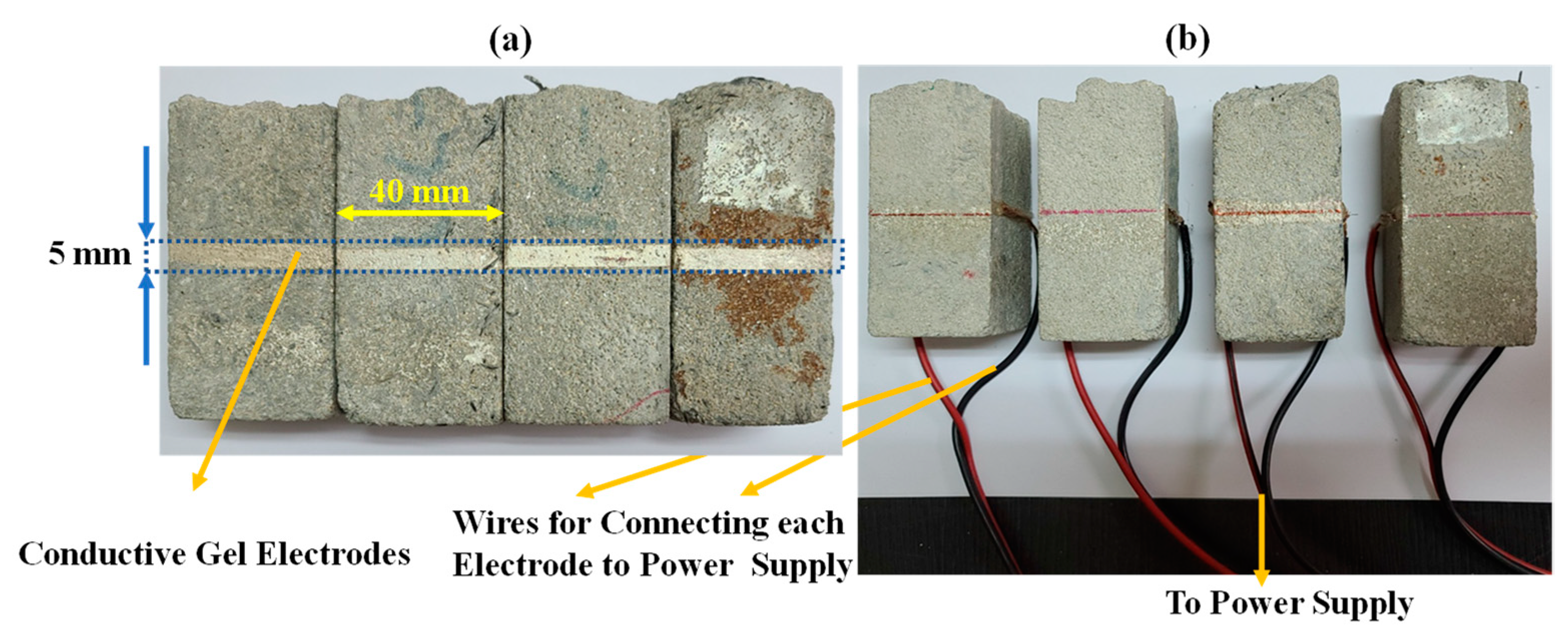 Applsci 13 03988 g001