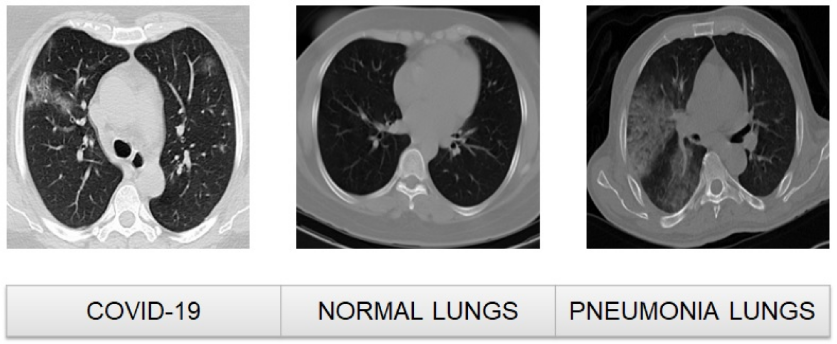Applsci 13 04050 g001 Applsci 13 04050 g001