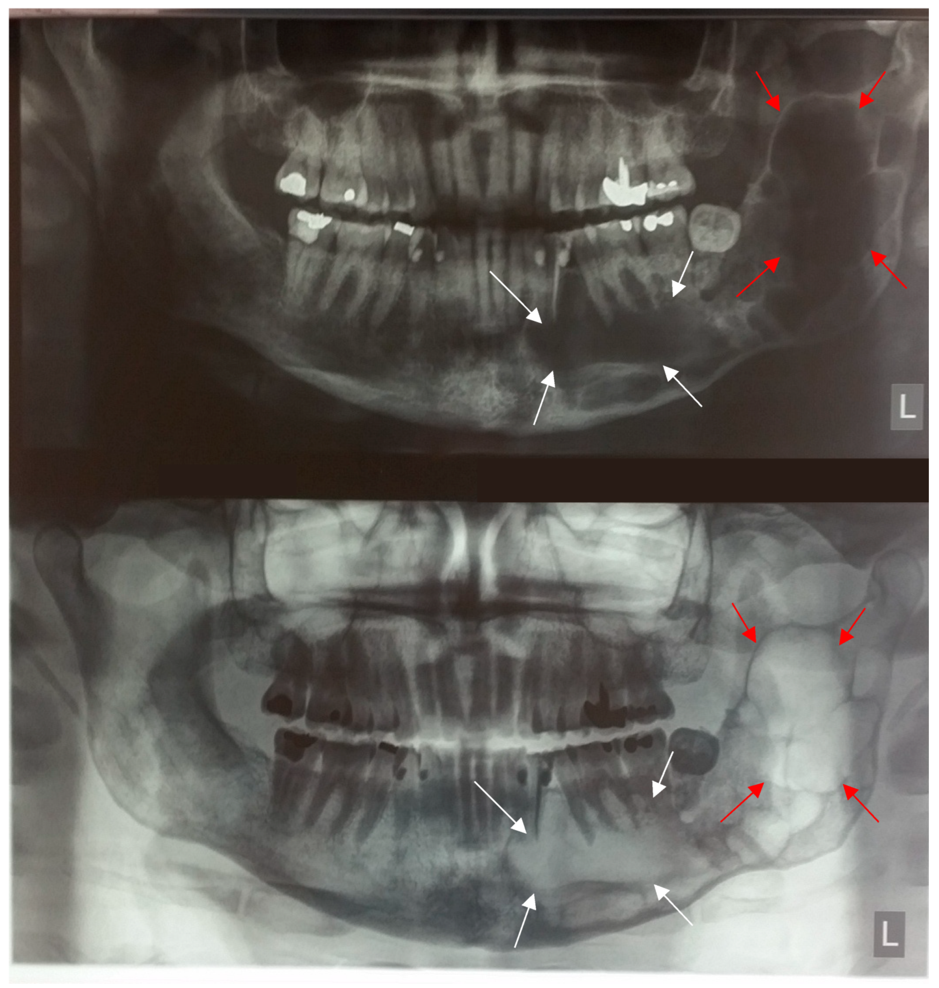 Applsci 13 04062 g002 Applsci 13 04062 g002