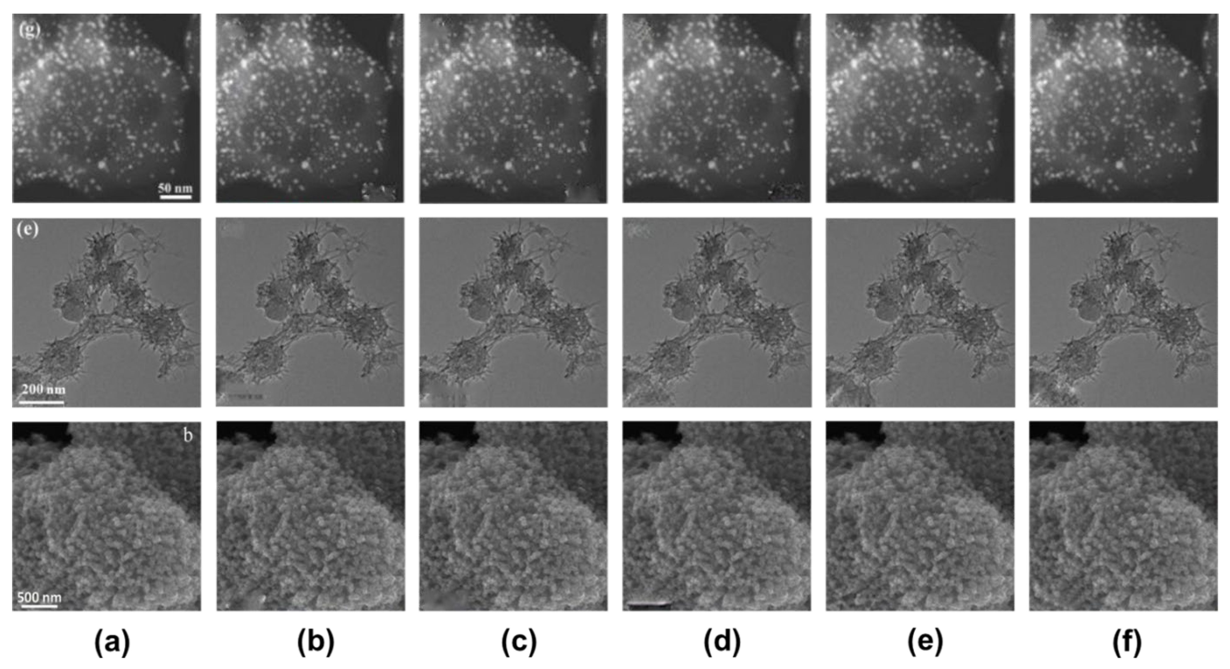 Applsci 13 04071 g006 Applsci 13 04071 g006