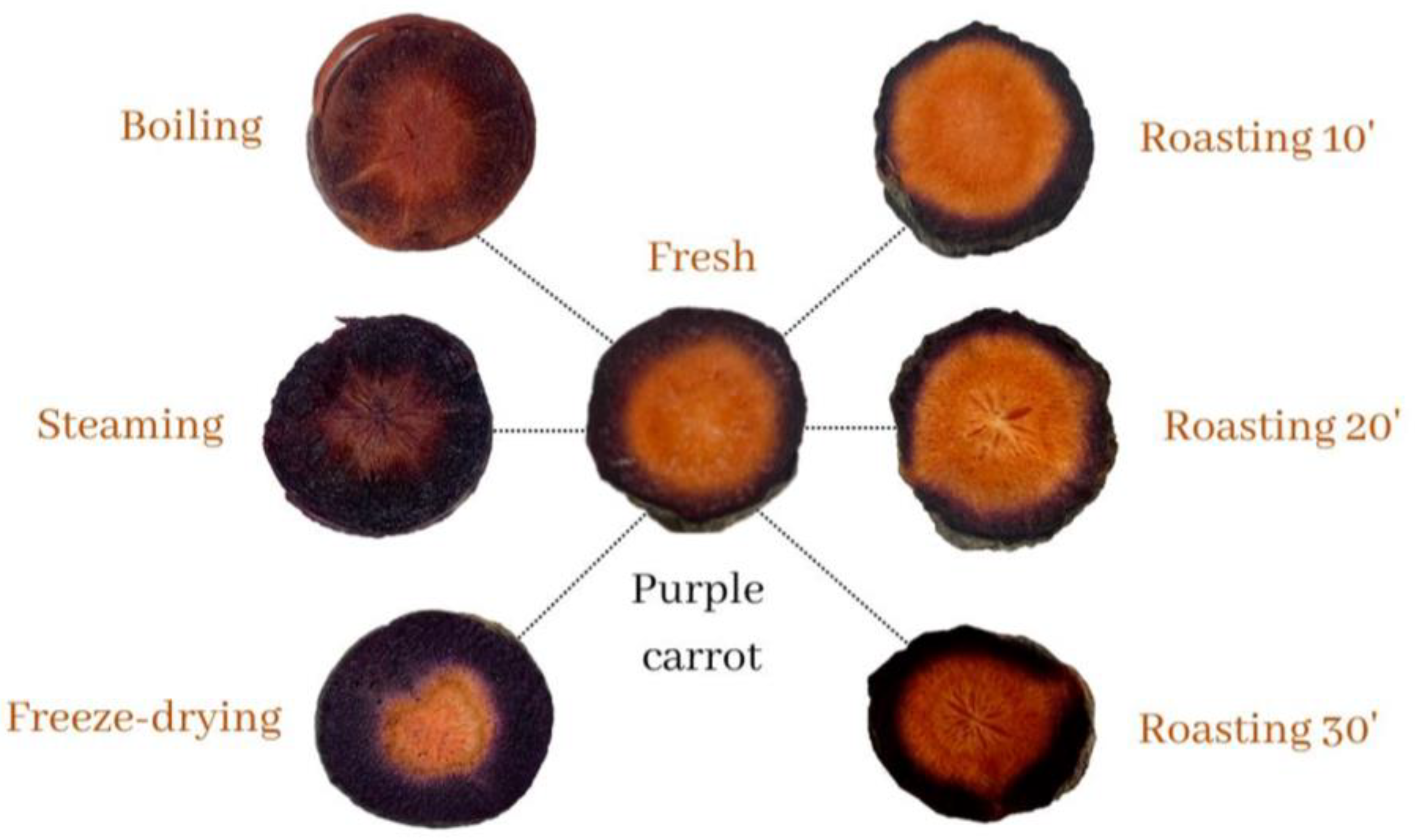 Applsci 13 04073 g001