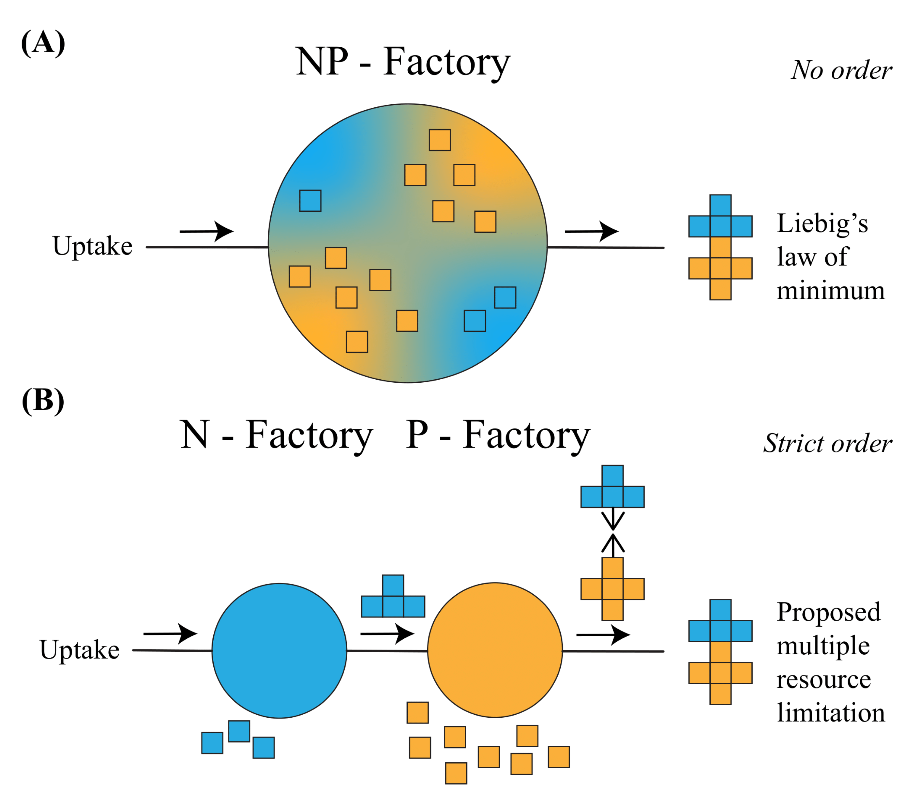 Applsci 13 04150 g002 Applsci 13 04150 g002