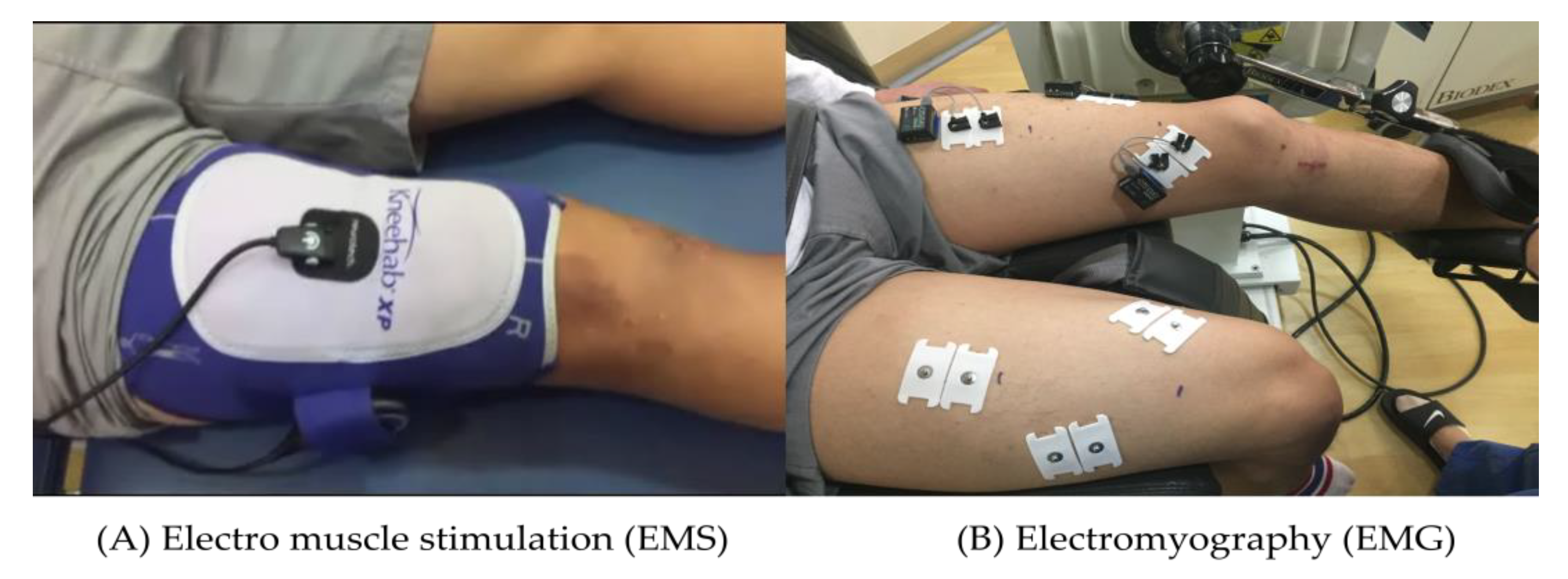 Applied Sciences Free FullText Effects of a Rehabilitation