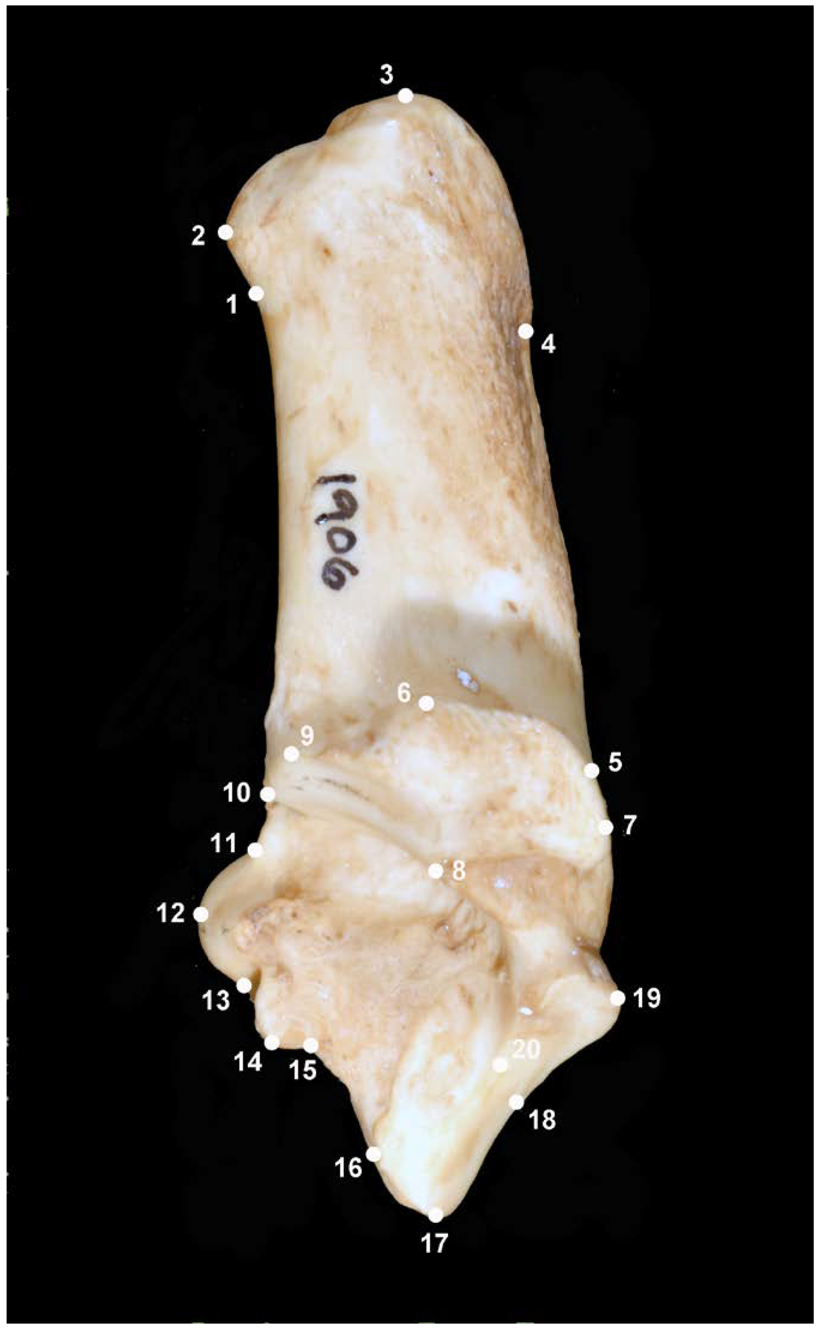 Applsci 13 04177 g001