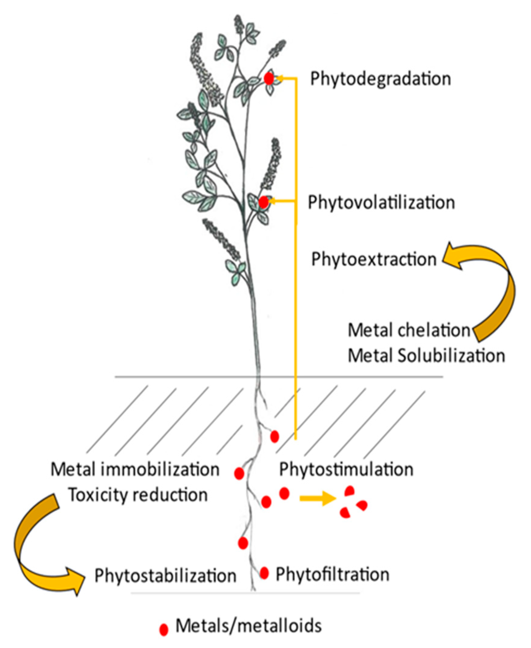 Applsci 13 04223 g001 Applsci 13 04223 g001