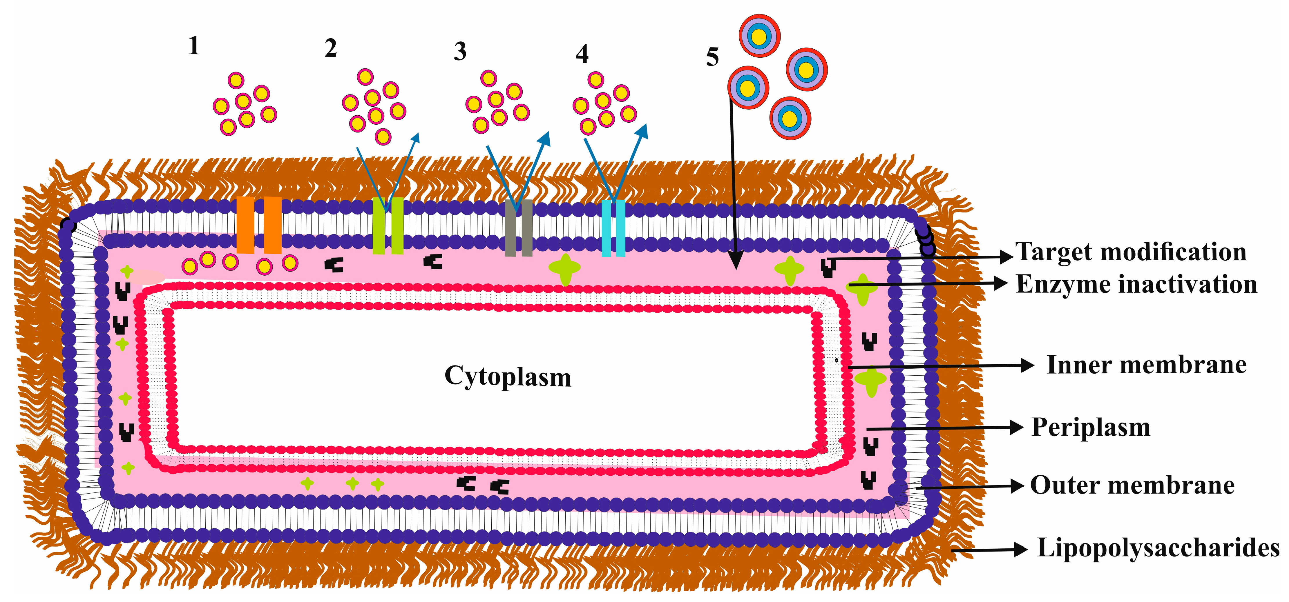 Applsci 13 04238 g001 Applsci 13 04238 g001