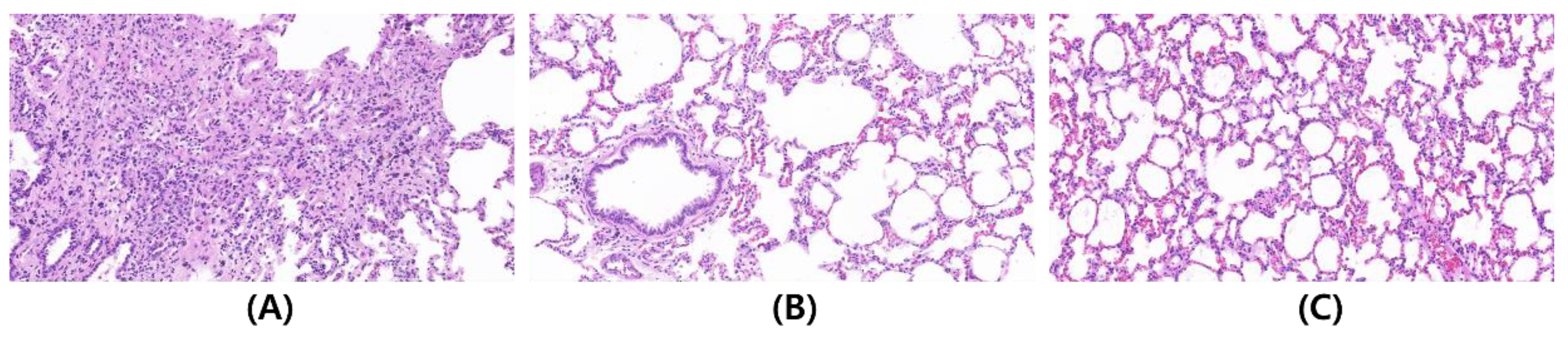 Applsci 13 04253 g005