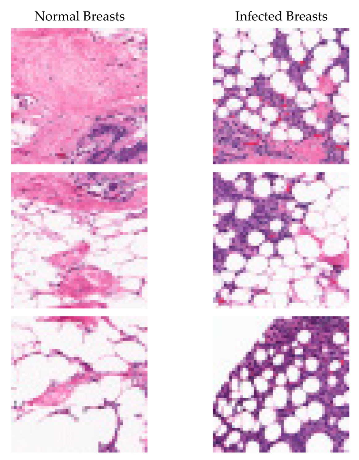 Applsci 13 04255 g002