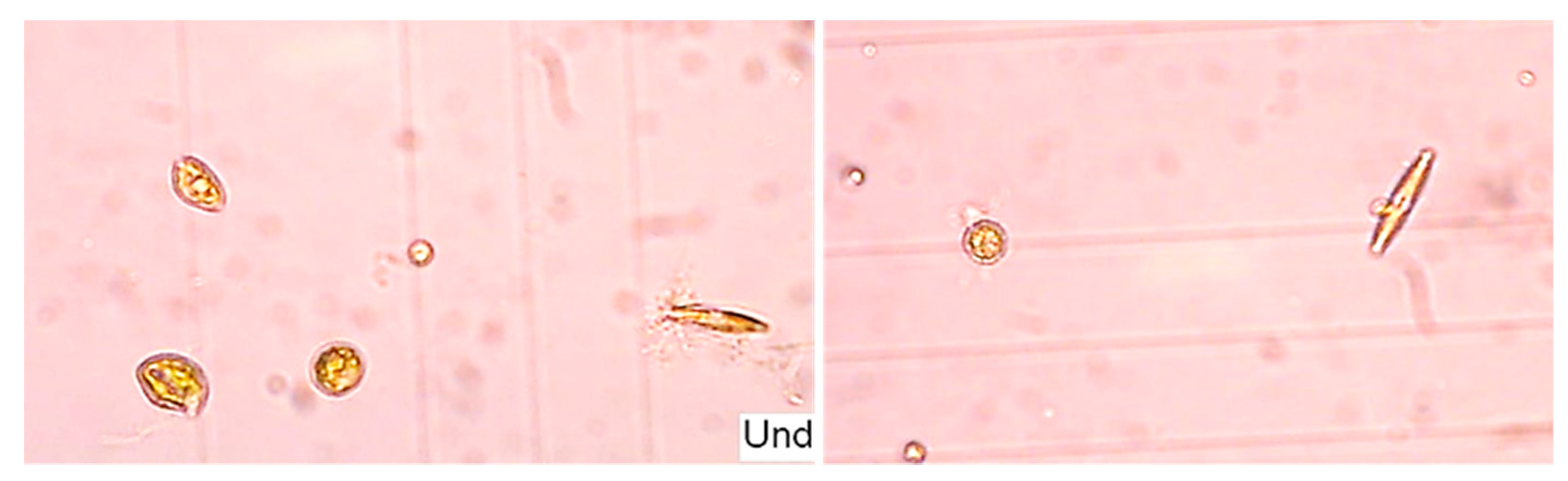 Applsci 13 04266 g003