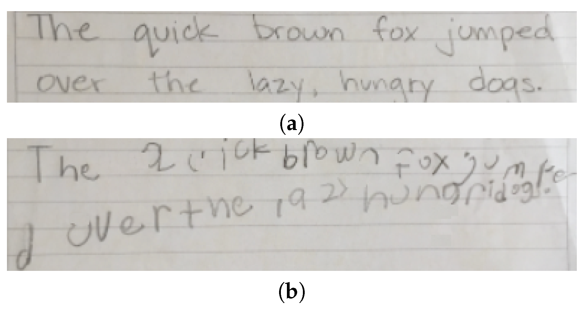 Applsci 13 04275 g001 Applsci 13 04275 g001