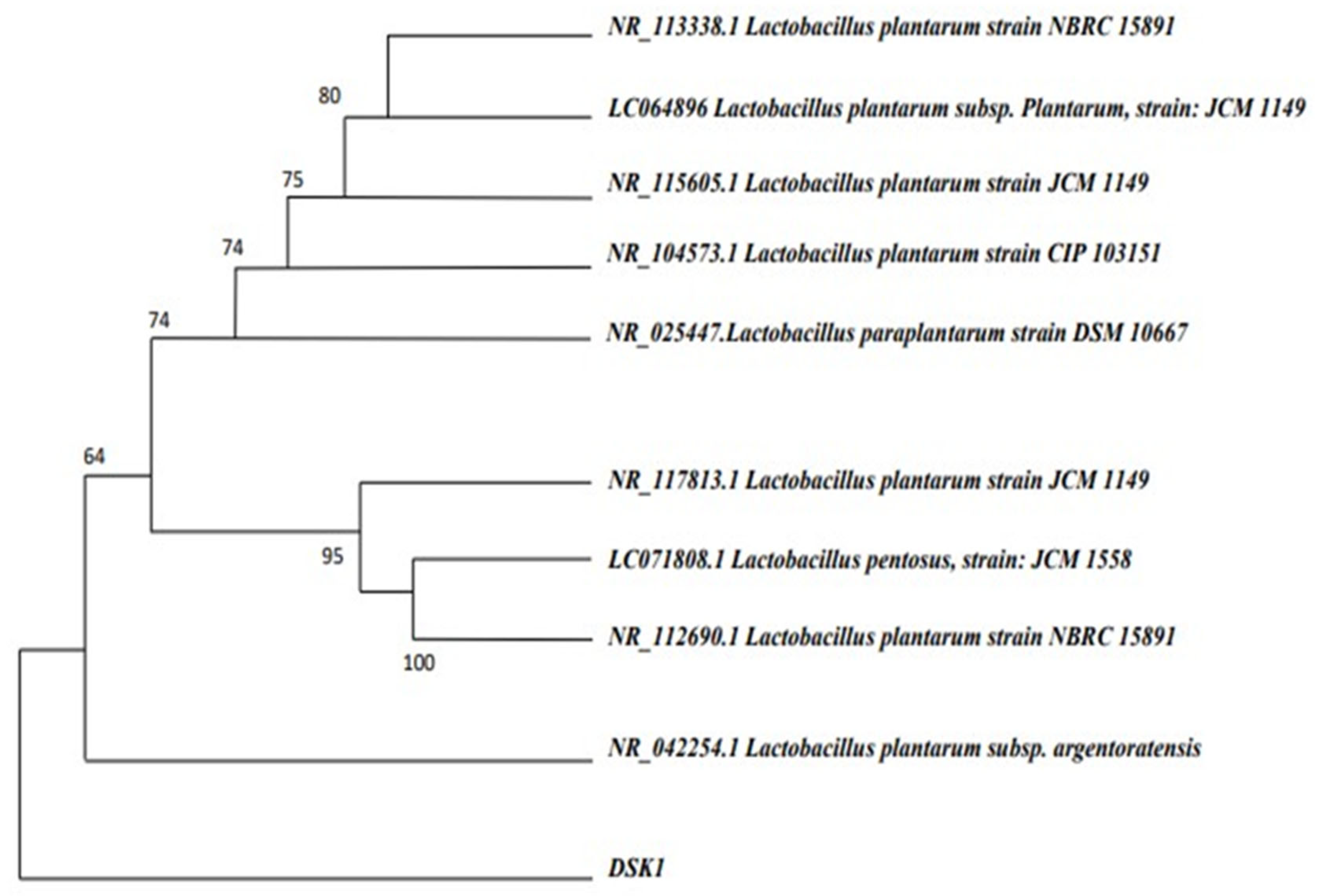 Applsci 13 04277 g002 Applsci 13 04277 g002
